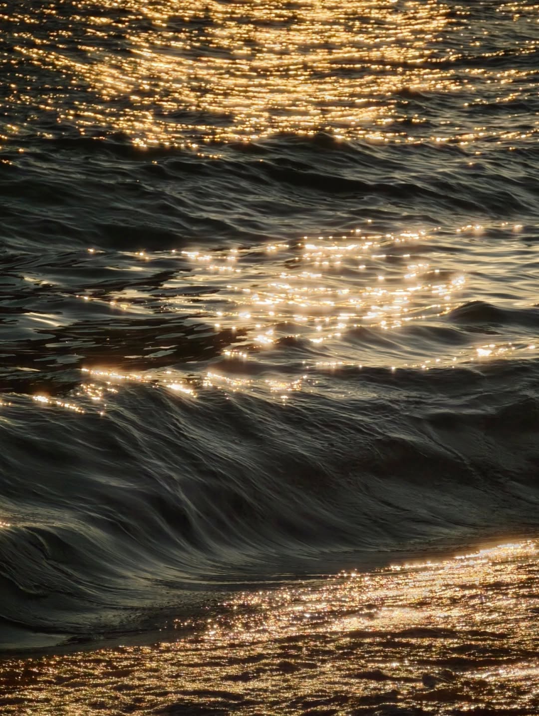 เต - ตะวัน วิหครัตน์