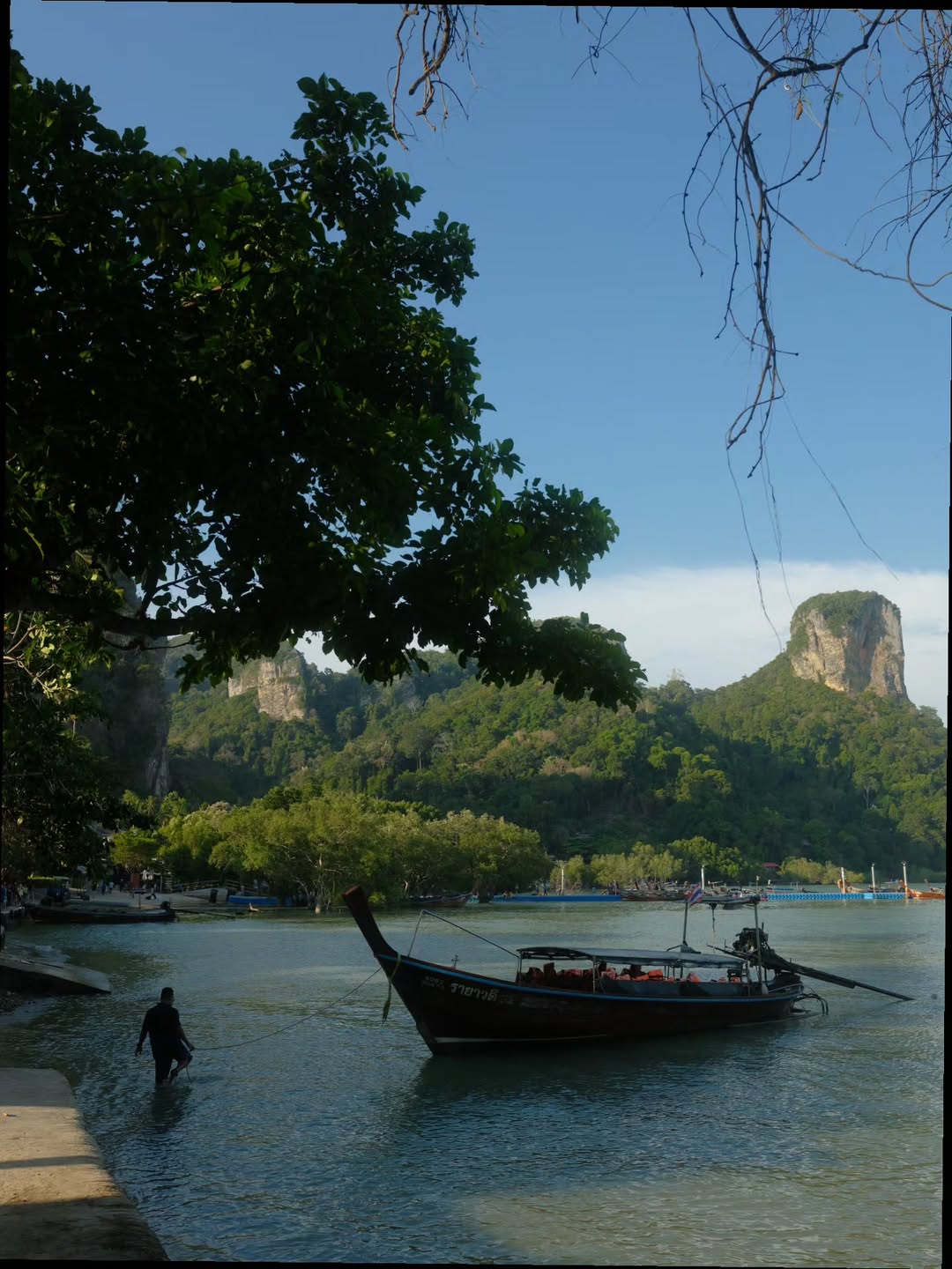 เต - ตะวัน วิหครัตน์