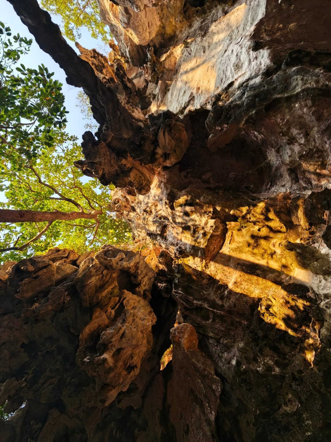 เต - ตะวัน วิหครัตน์