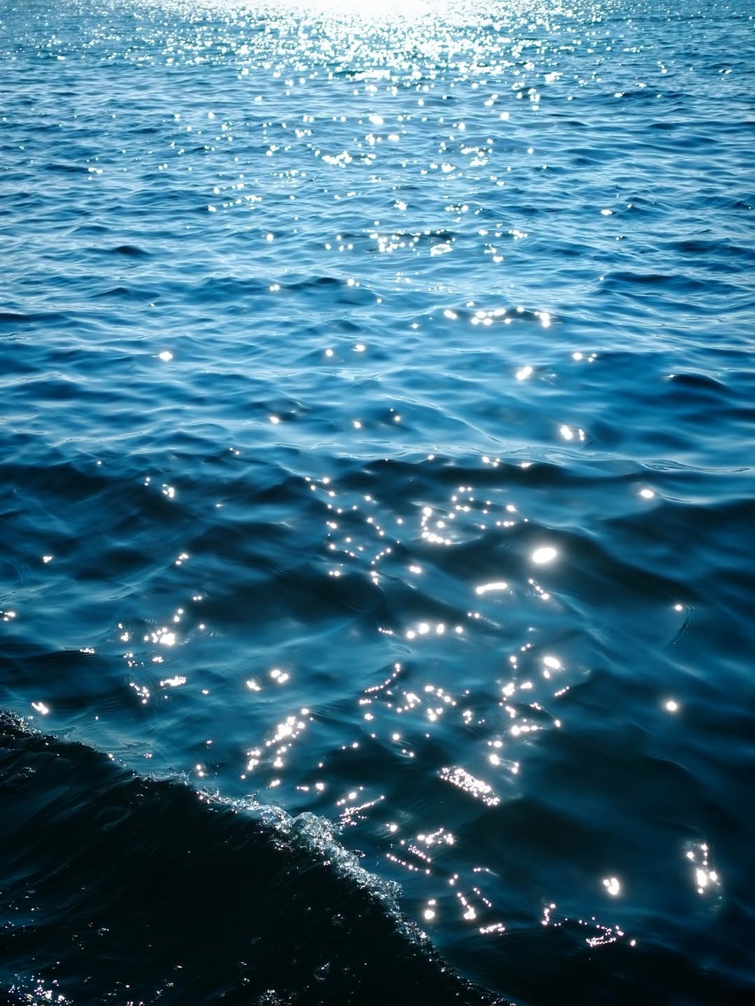 เต - ตะวัน วิหครัตน์