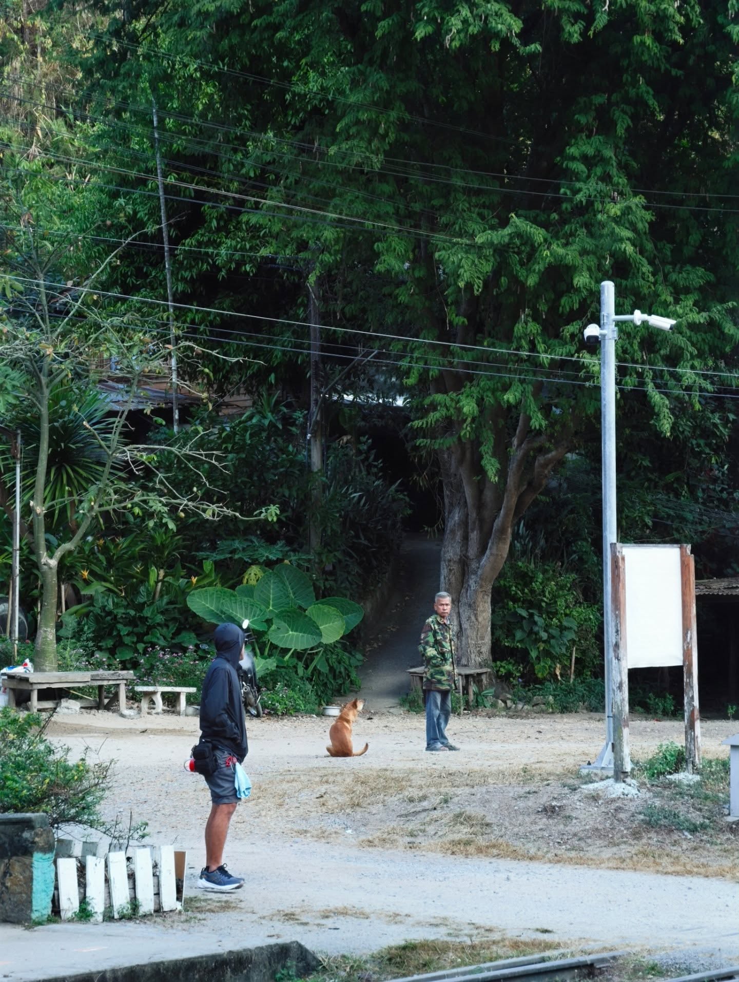 เต - ตะวัน วิหครัตน์