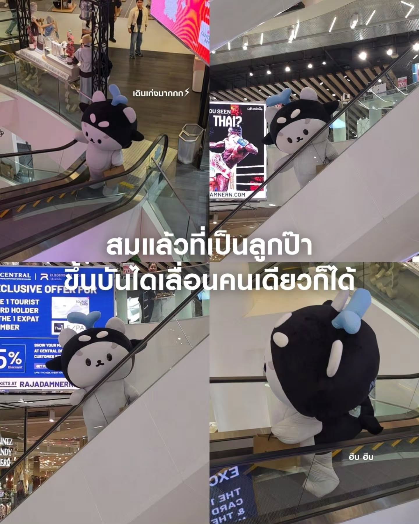 เต - ตะวัน วิหครัตน์