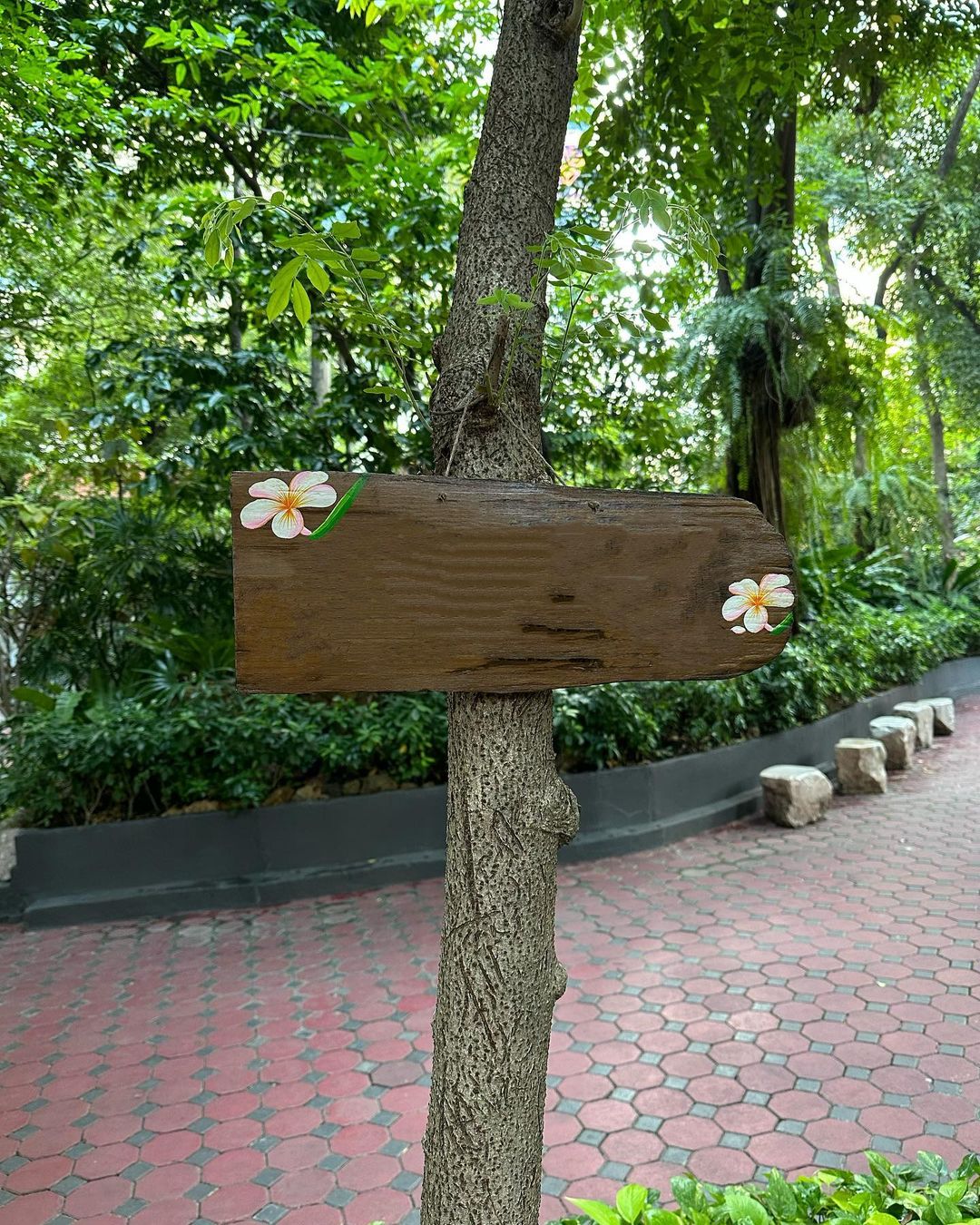 หน่อง - ธนา ฉัตรบริรักษ์