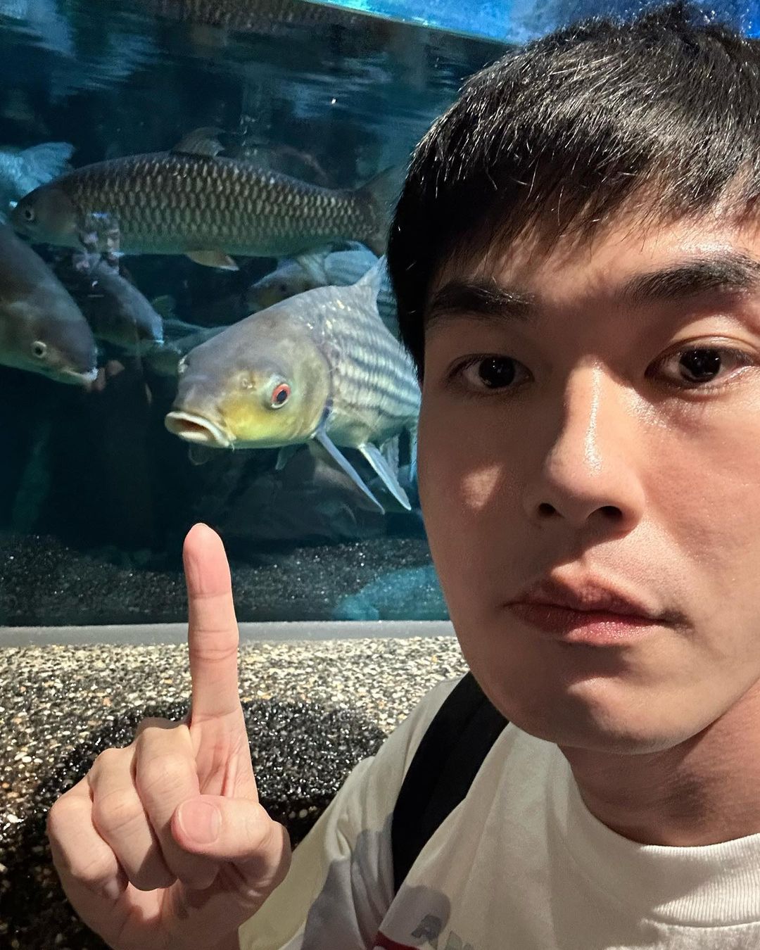 หน่อง - ธนา ฉัตรบริรักษ์