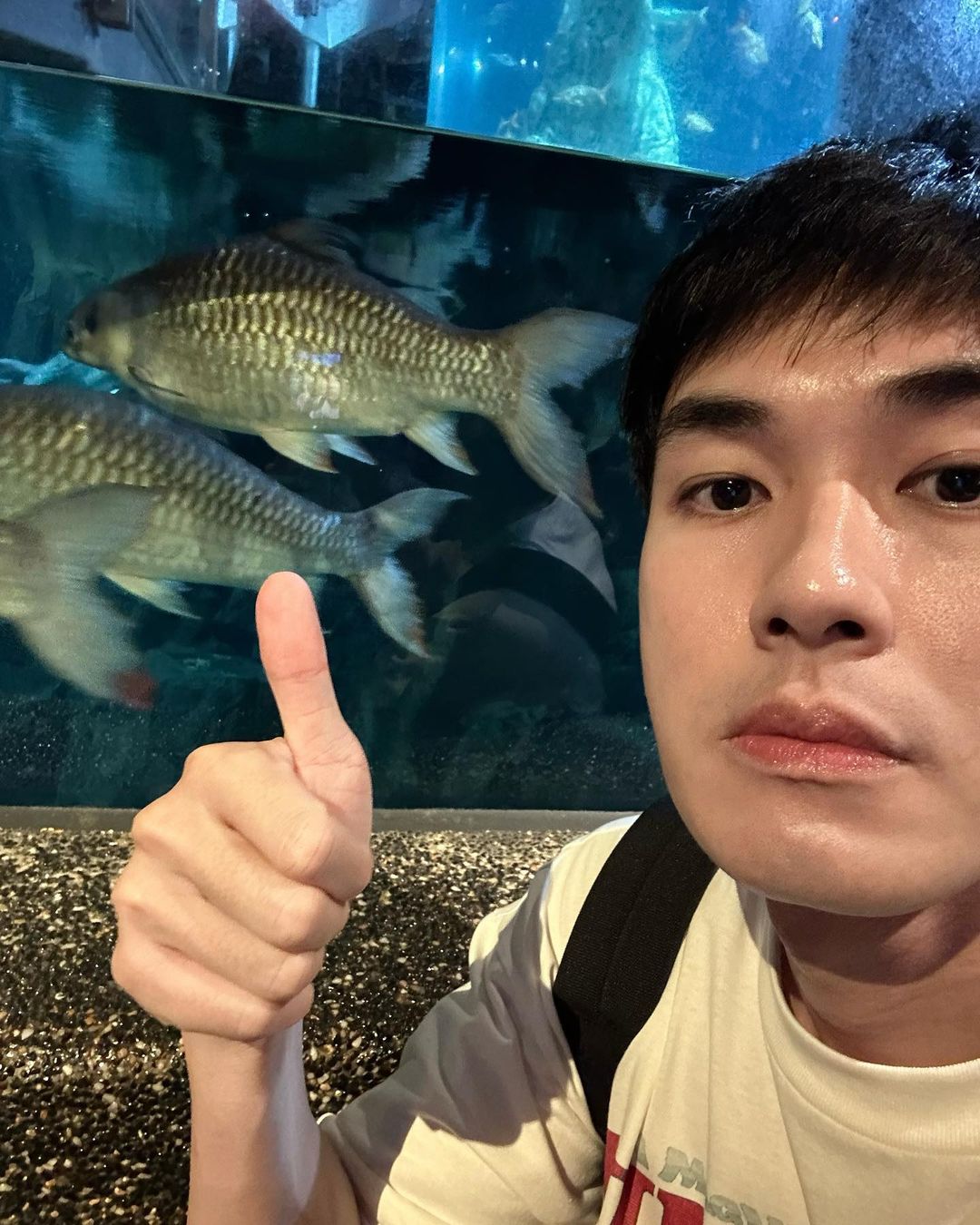 หน่อง - ธนา ฉัตรบริรักษ์