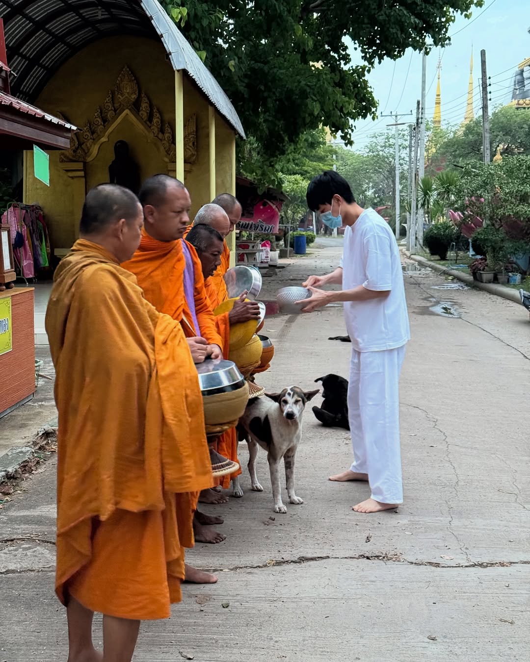 หน่อง - ธนา ฉัตรบริรักษ์