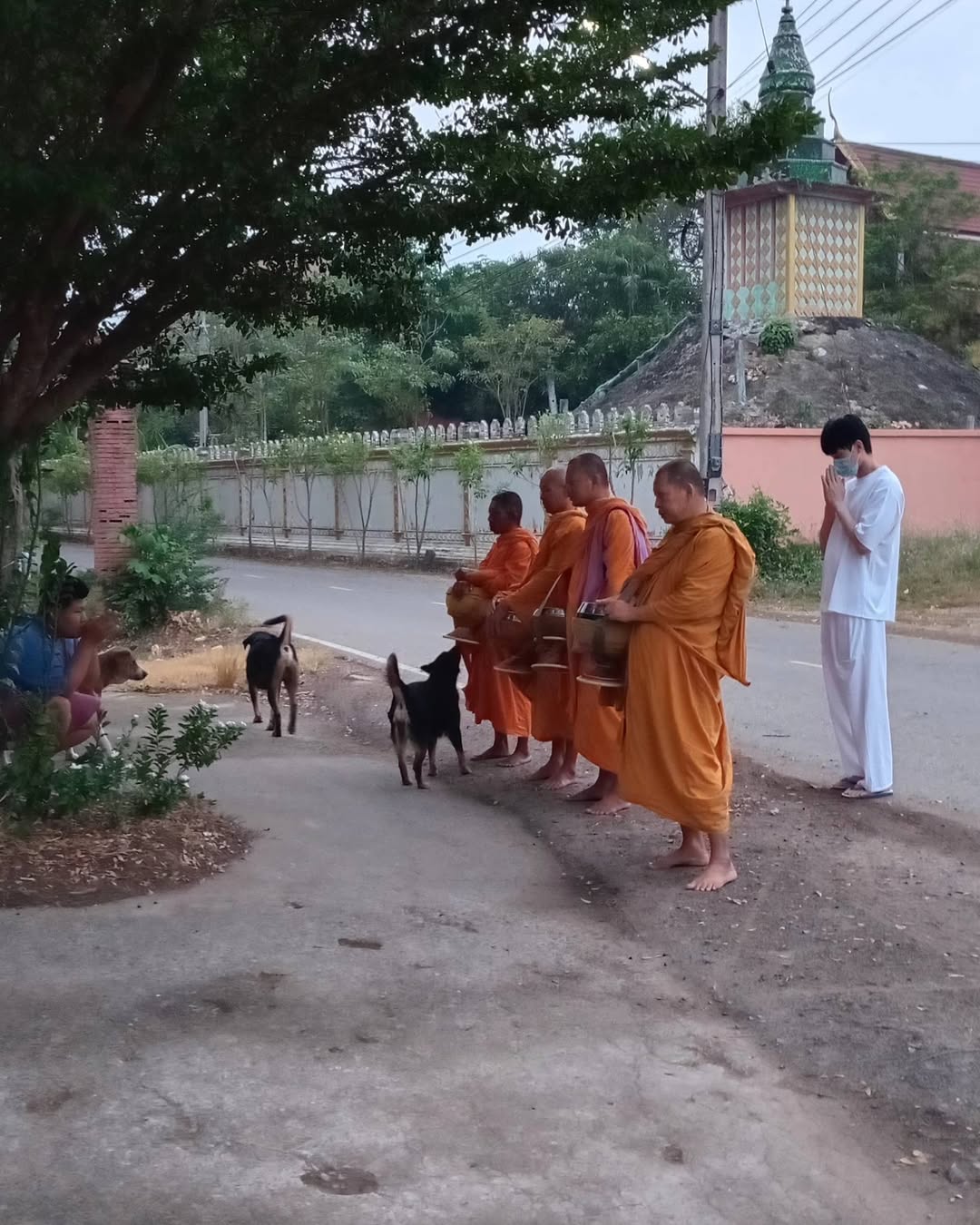 หน่อง - ธนา ฉัตรบริรักษ์