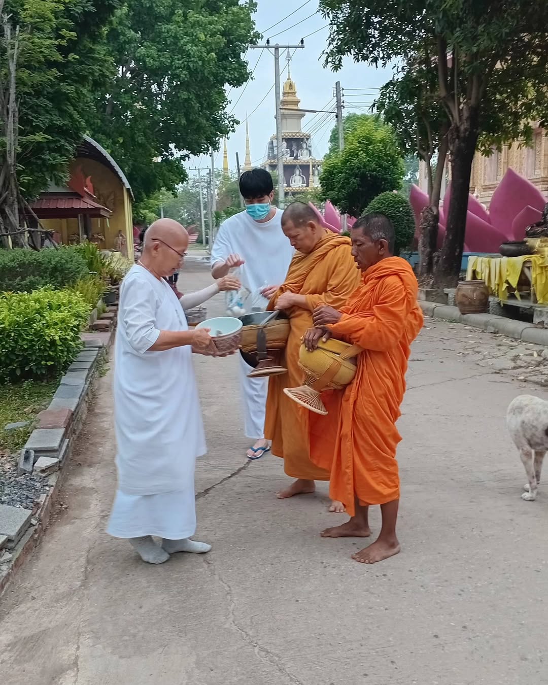 หน่อง - ธนา ฉัตรบริรักษ์