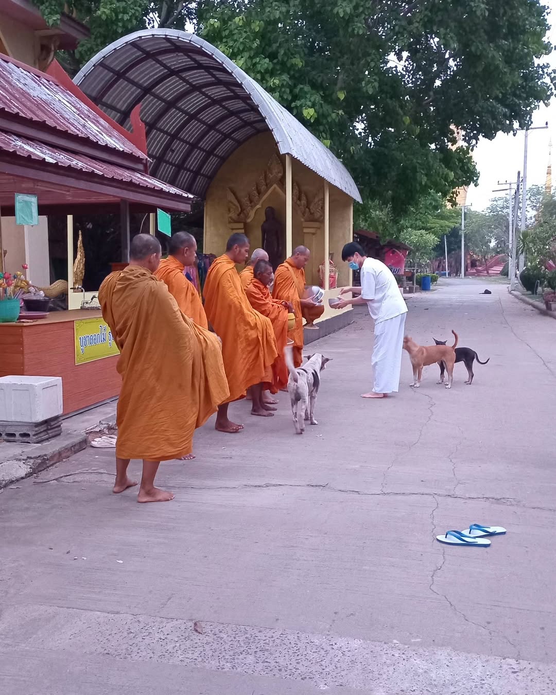 หน่อง - ธนา ฉัตรบริรักษ์
