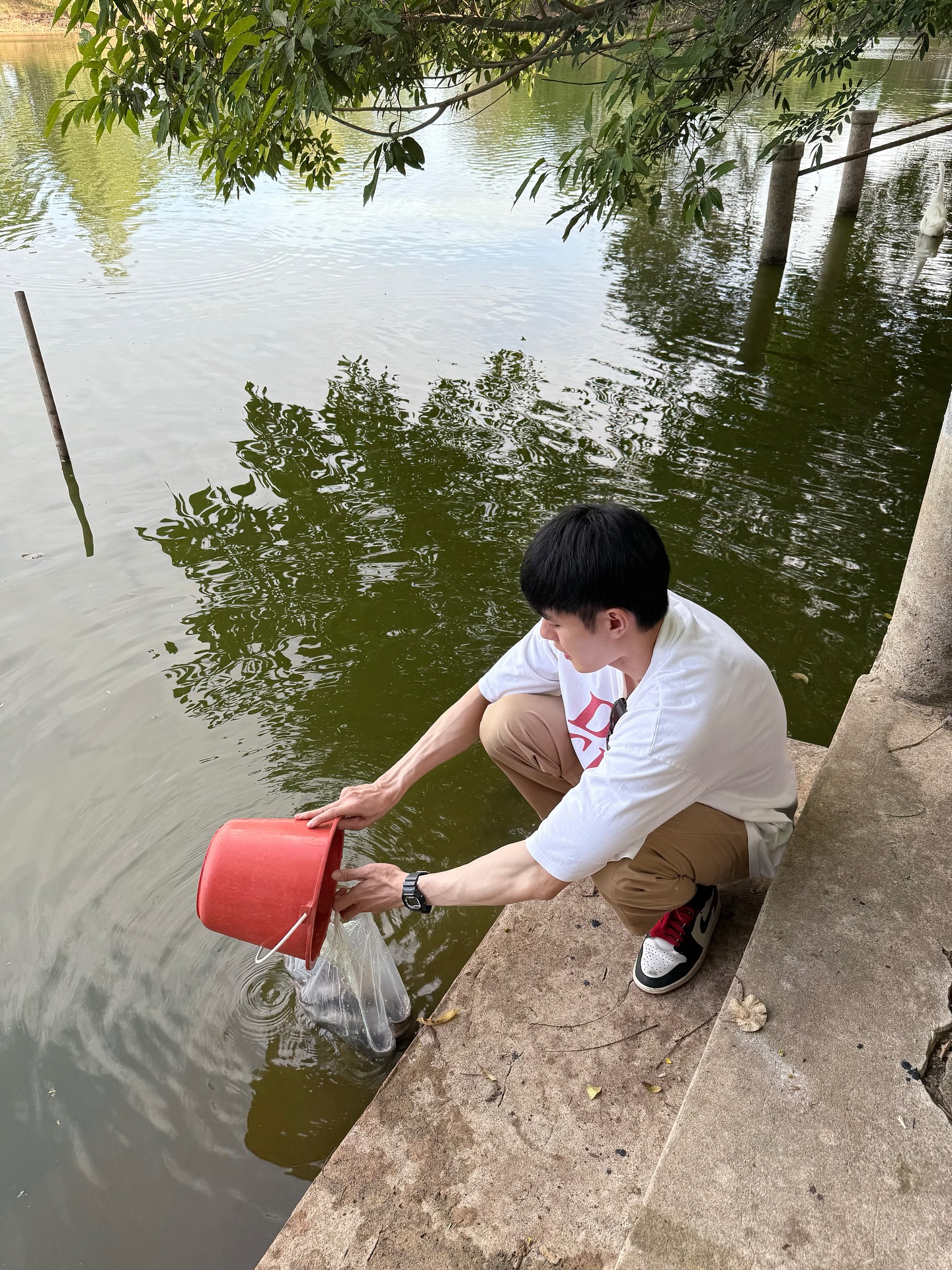 หน่อง - ธนา ฉัตรบริรักษ์