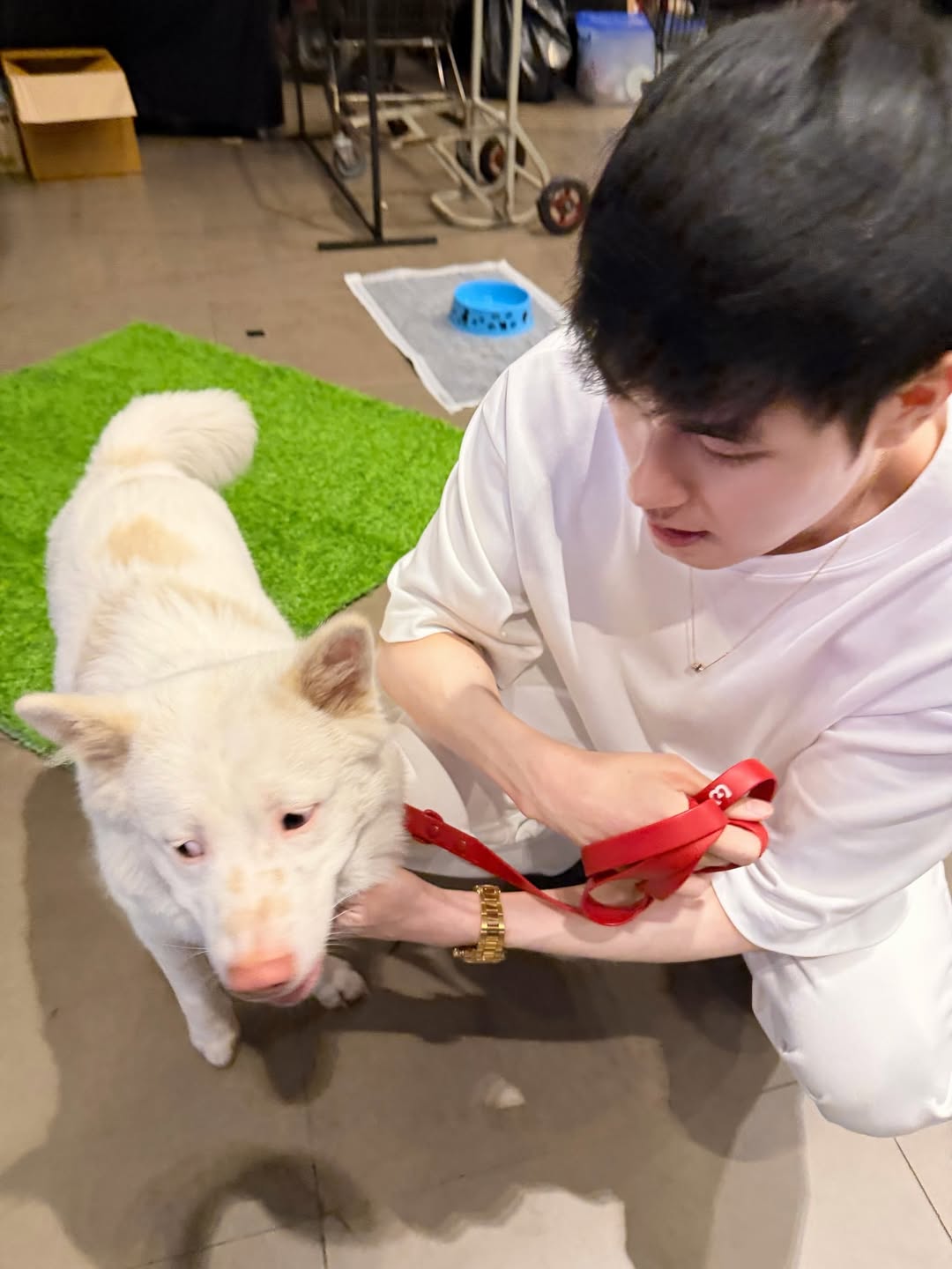 หน่อง - ธนา ฉัตรบริรักษ์