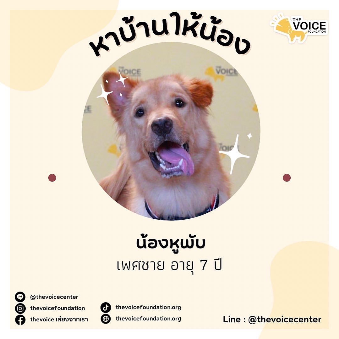 บอย - พิษณุ นิ่มสกุล