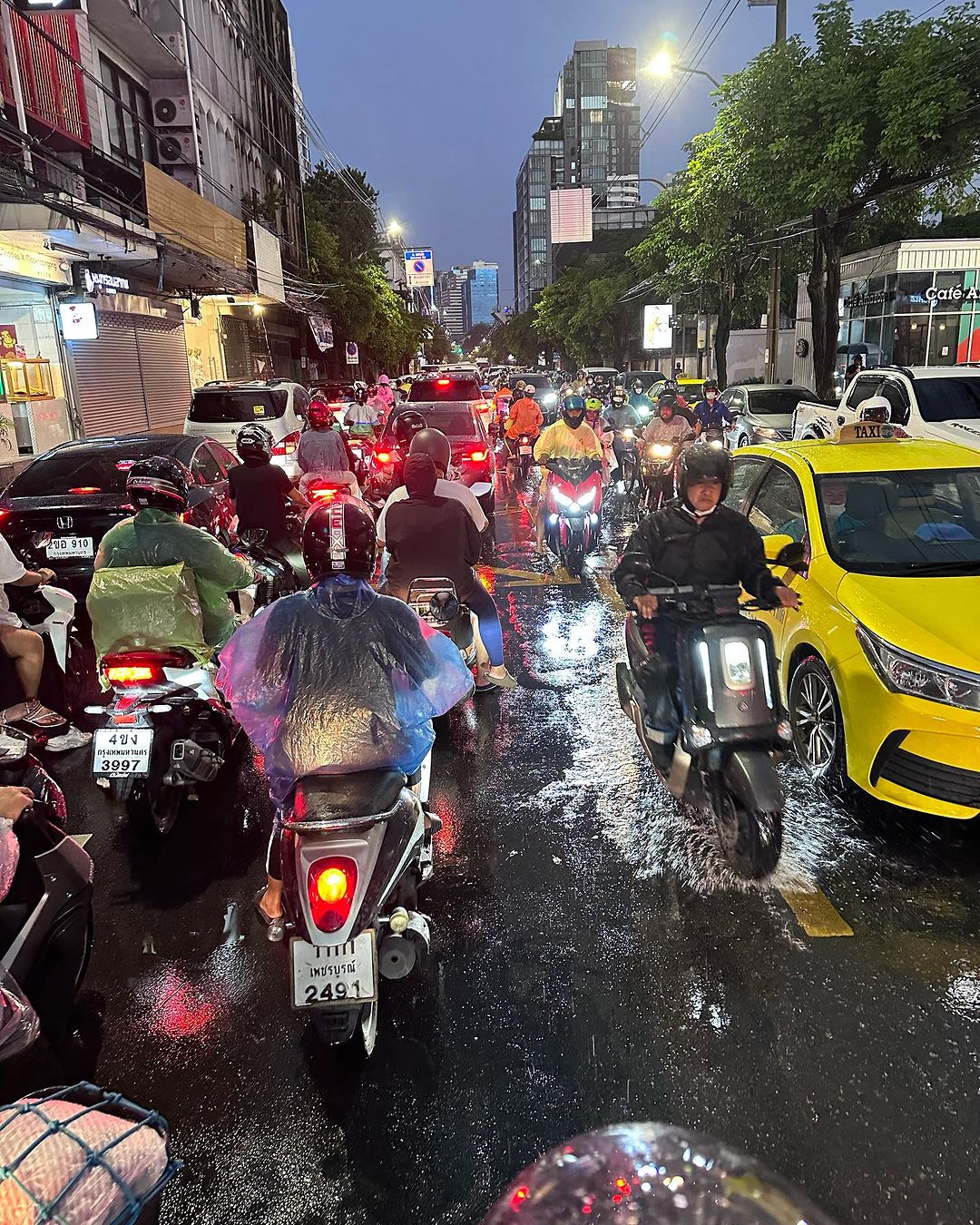 บอย - พิษณุ นิ่มสกุล