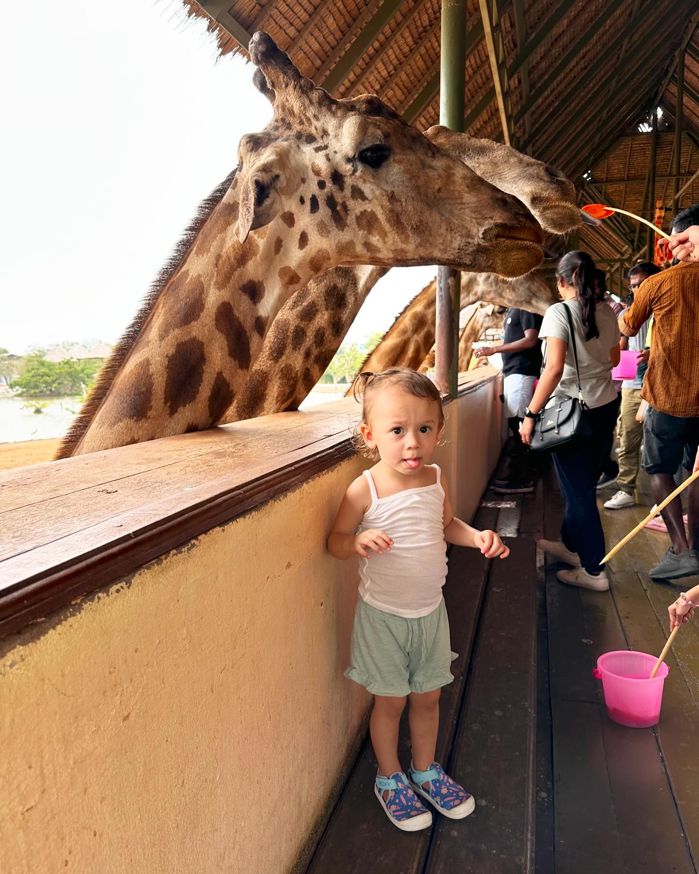 บอย - พิษณุ นิ่มสกุล