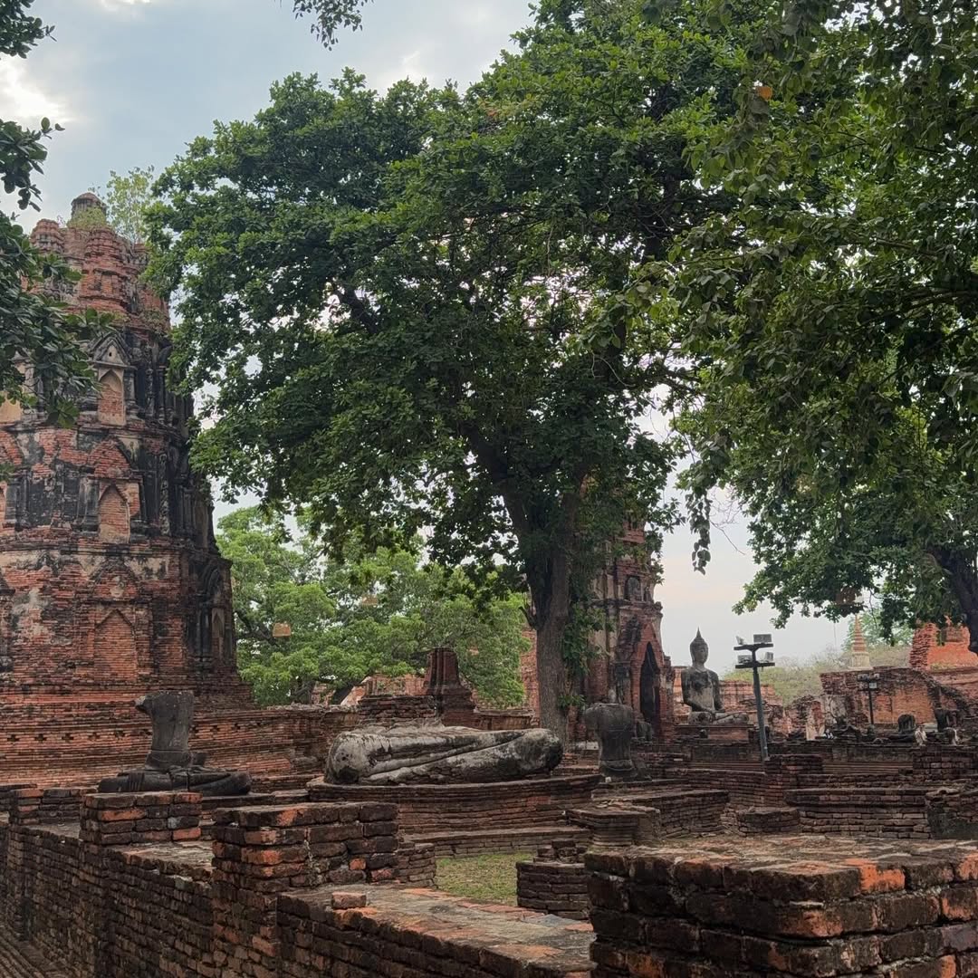 มีน - นิชคุณ ขจรบริรักษ์