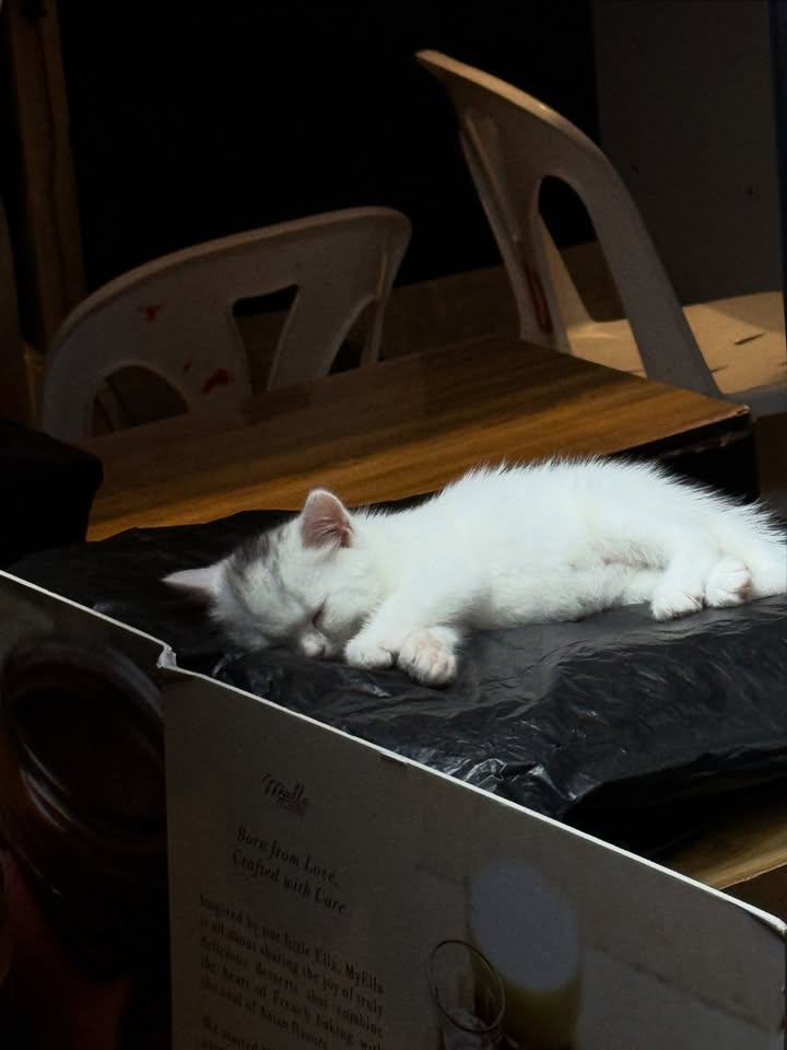 มีน - นิชคุณ ขจรบริรักษ์