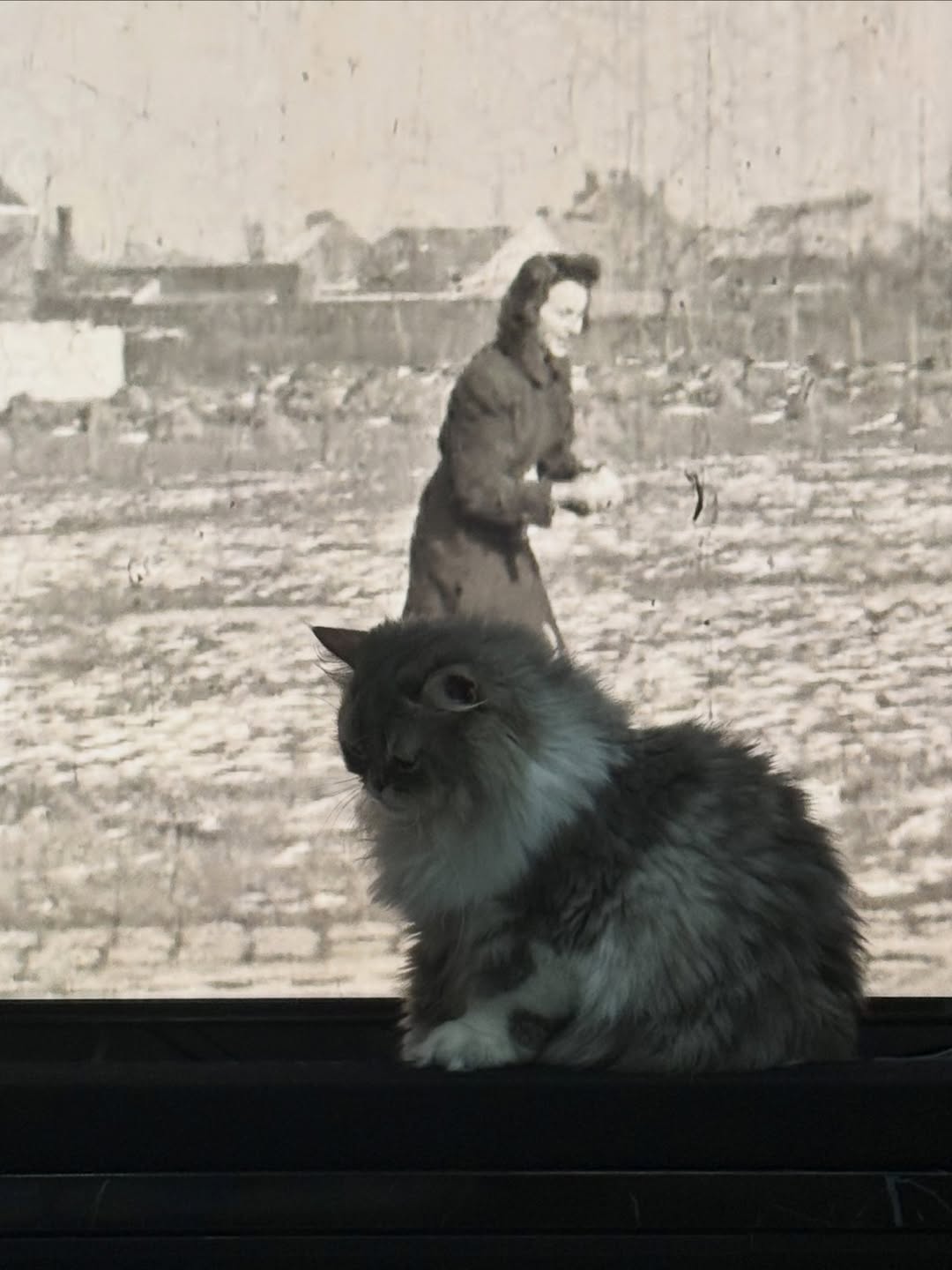 มีน - นิชคุณ ขจรบริรักษ์