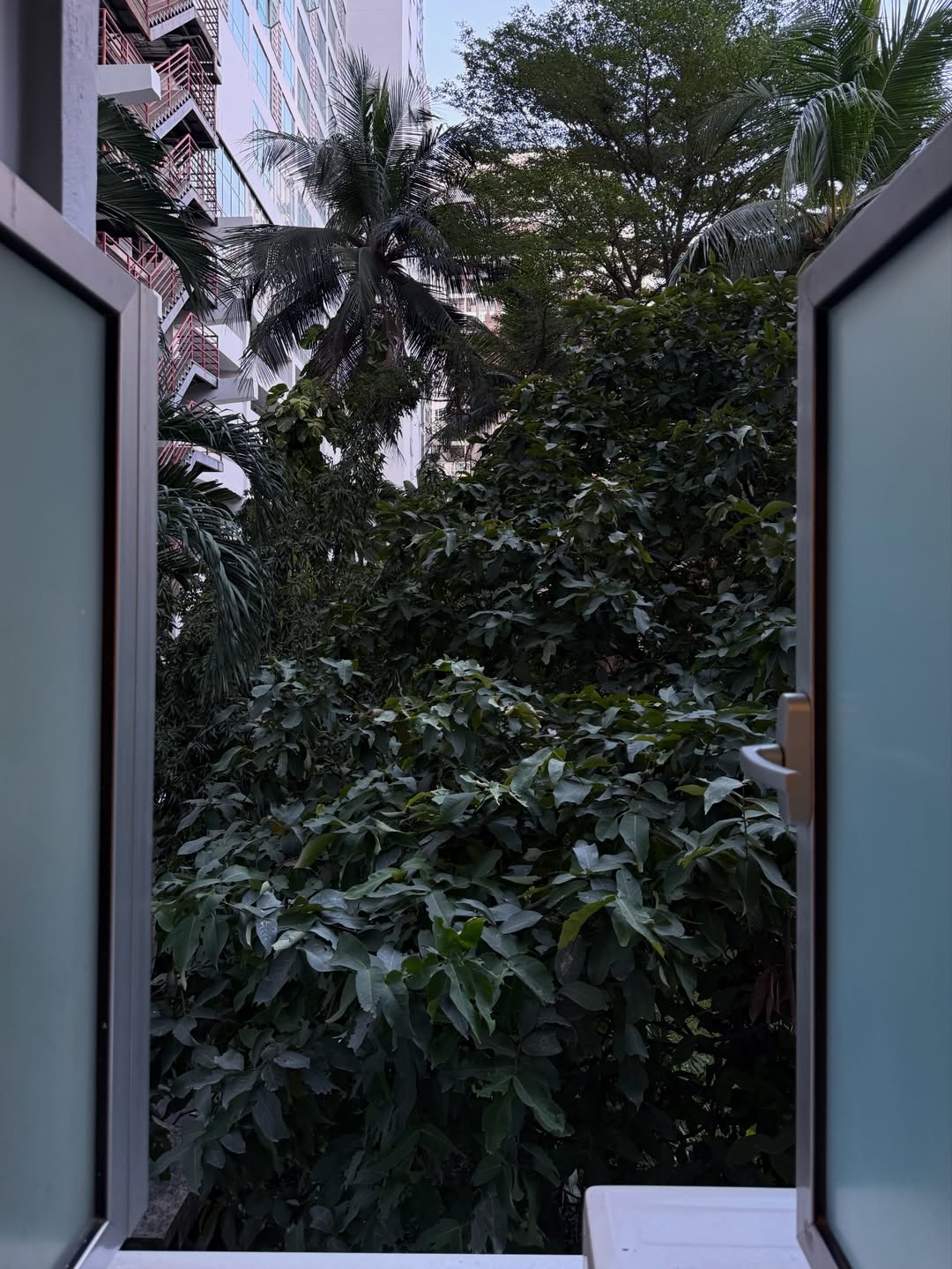 มีน - นิชคุณ ขจรบริรักษ์