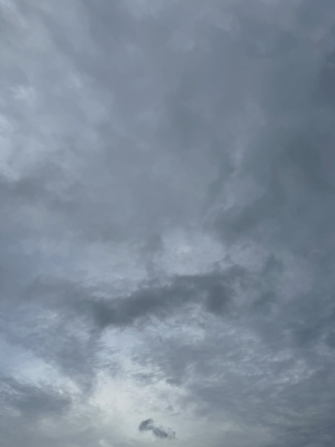 มีน - นิชคุณ ขจรบริรักษ์