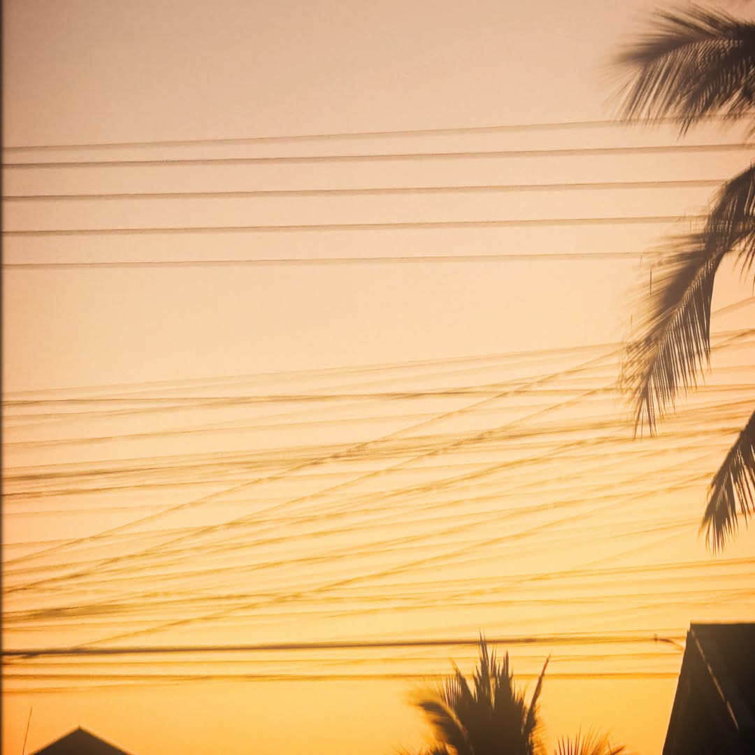 มีน - นิชคุณ ขจรบริรักษ์