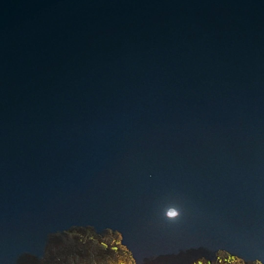 มีน - นิชคุณ ขจรบริรักษ์