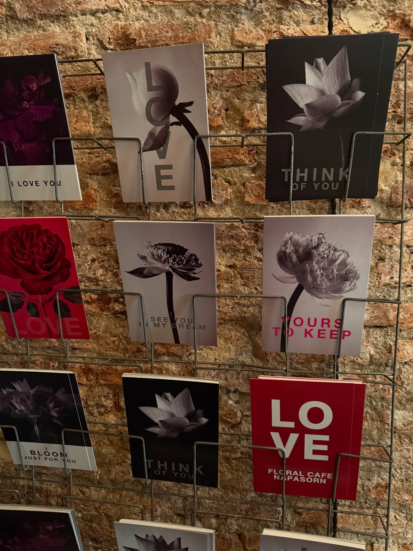 มีน - นิชคุณ ขจรบริรักษ์