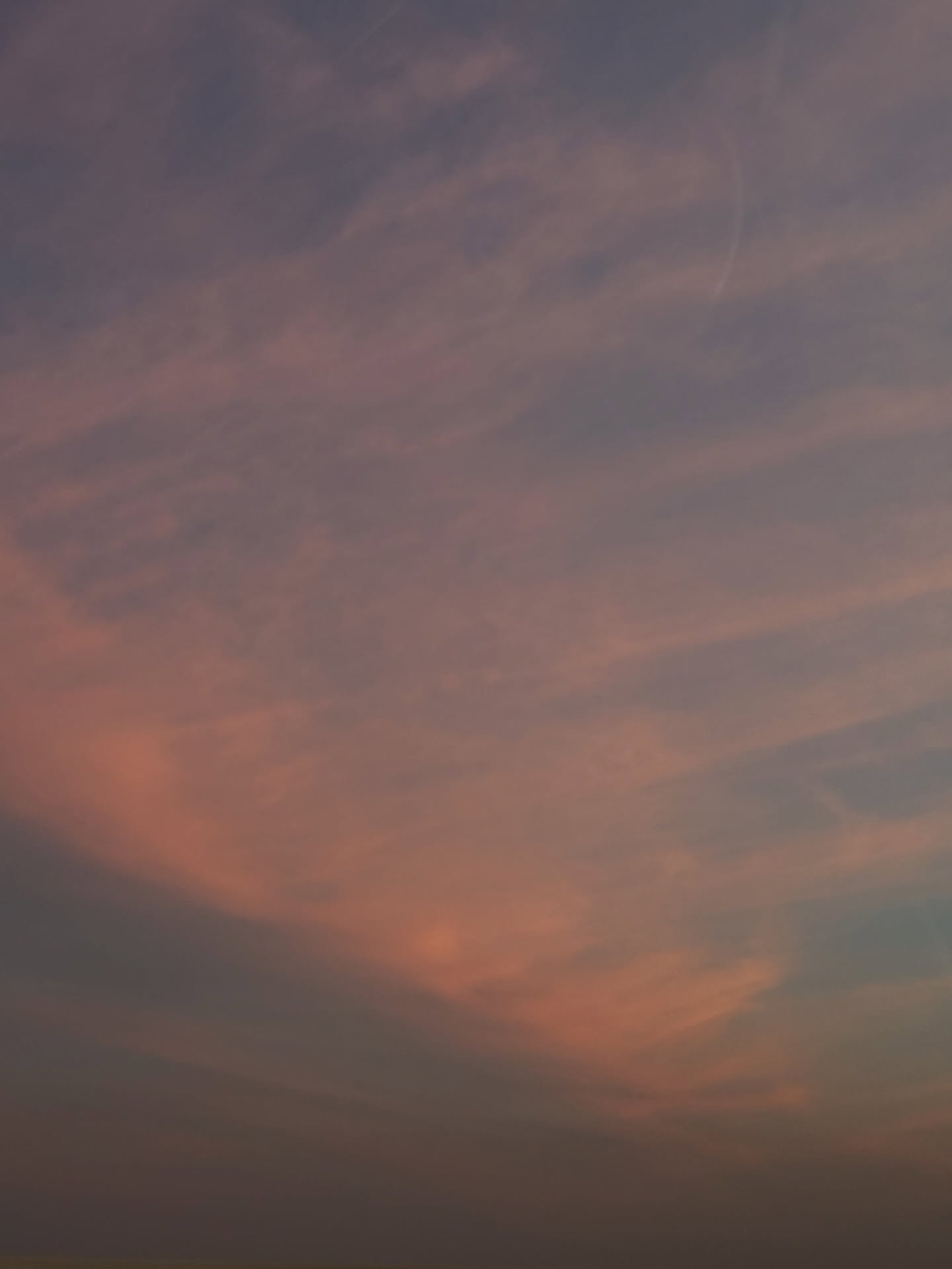 มีน - นิชคุณ ขจรบริรักษ์