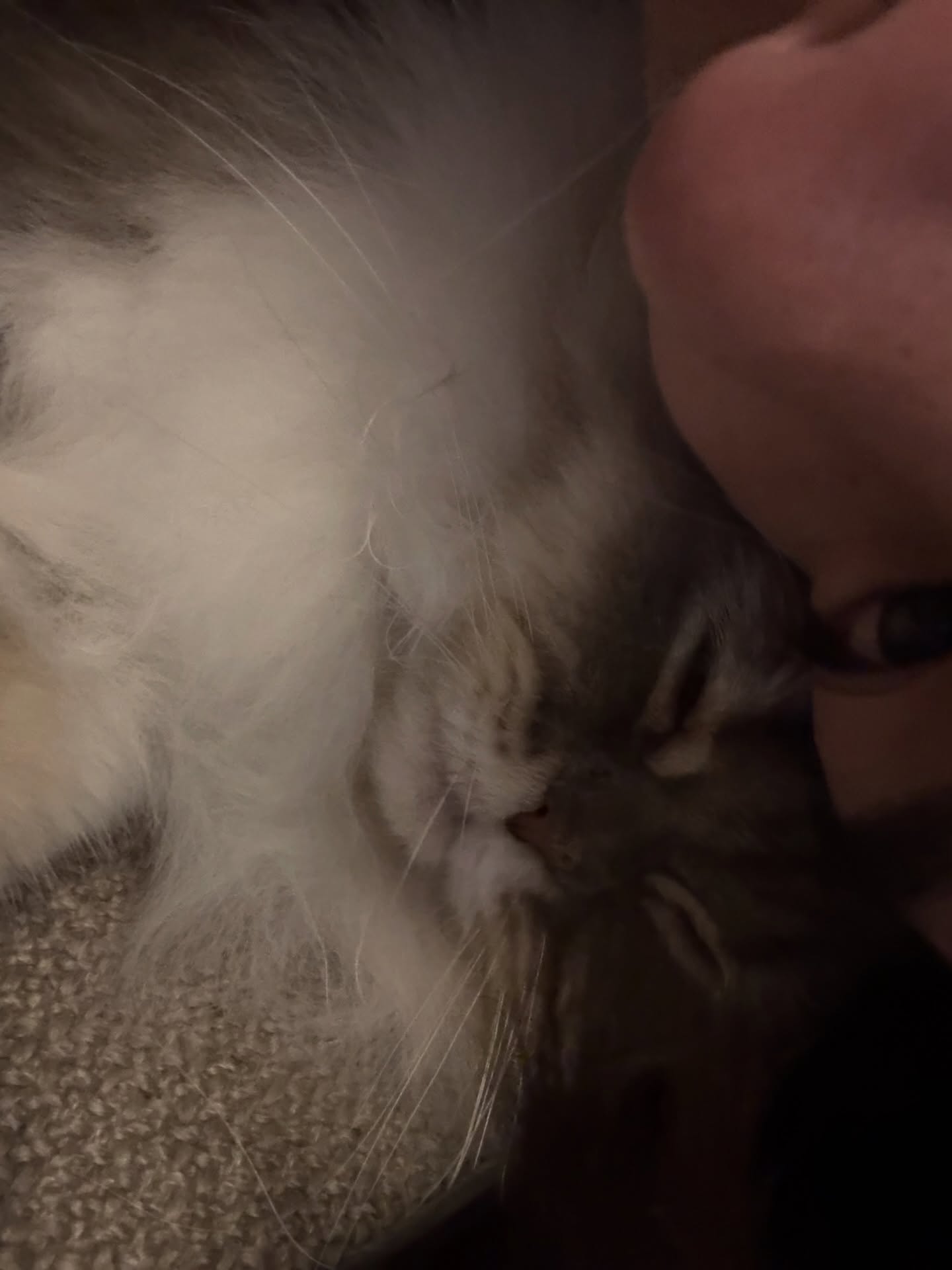 มีน - นิชคุณ ขจรบริรักษ์