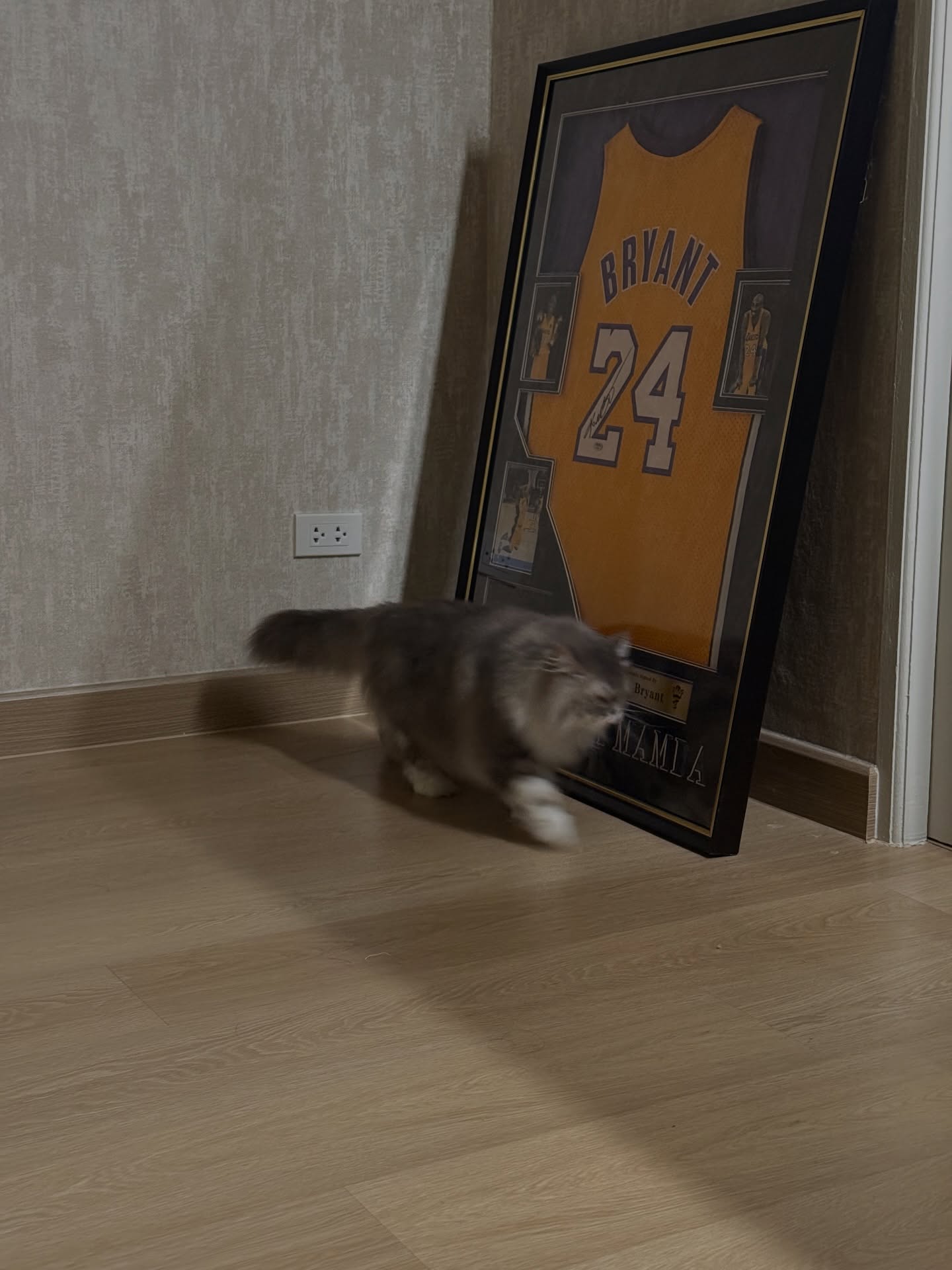 มีน - นิชคุณ ขจรบริรักษ์