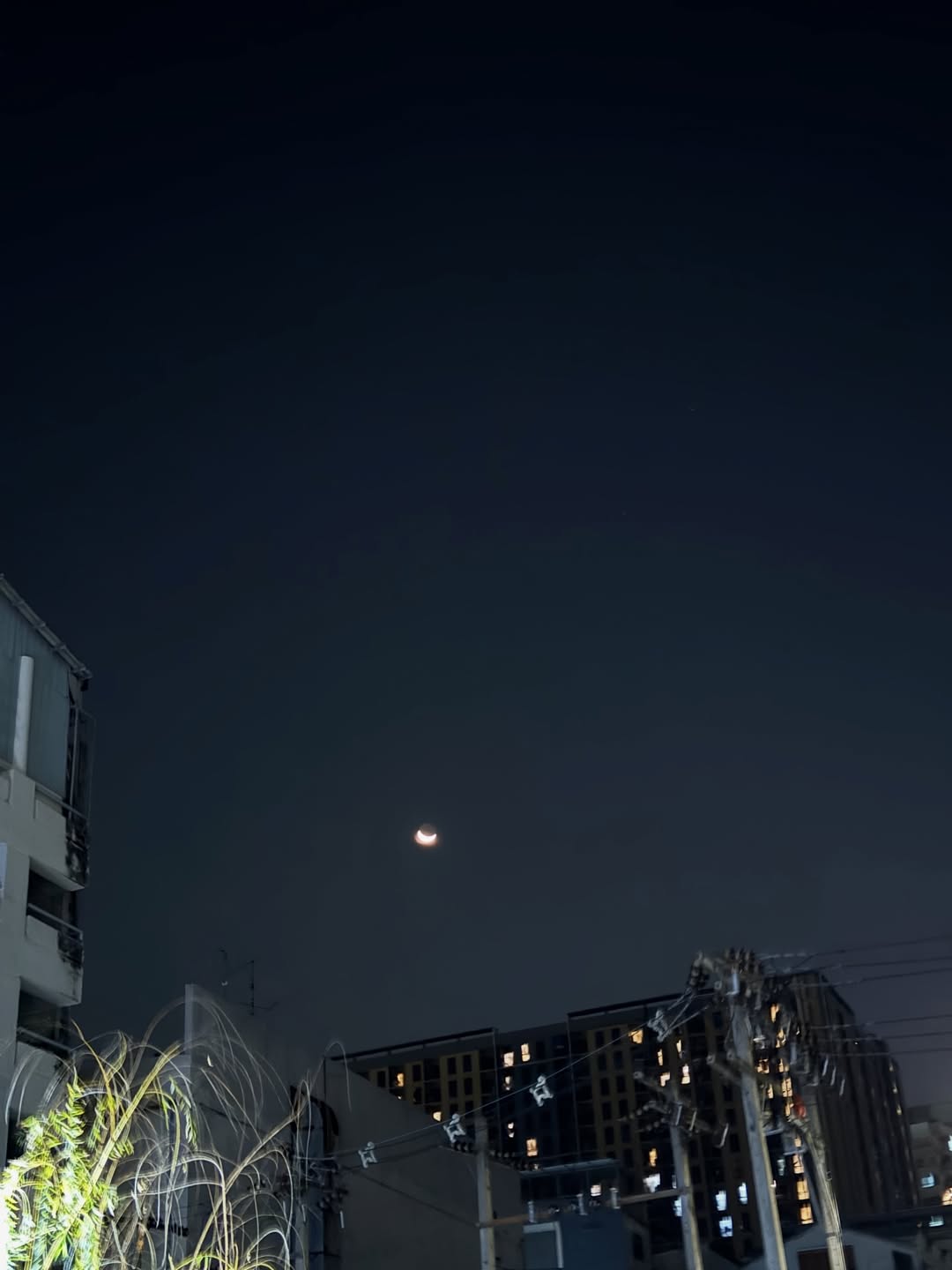 มีน - นิชคุณ ขจรบริรักษ์