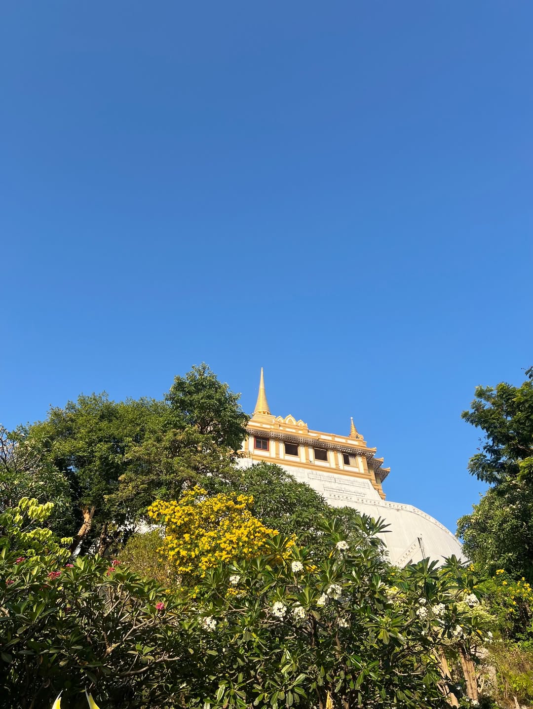 พีค - ภัทรศยา เครือสุวรรณศิริ