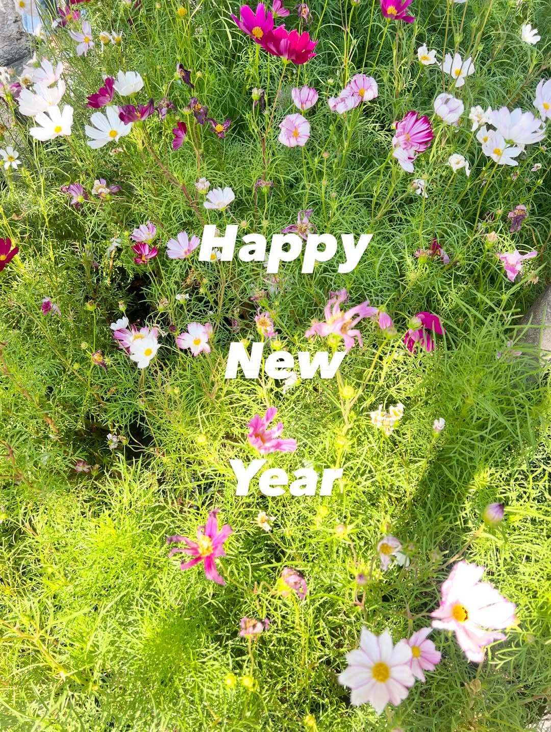 พีค - ภัทรศยา เครือสุวรรณศิริ