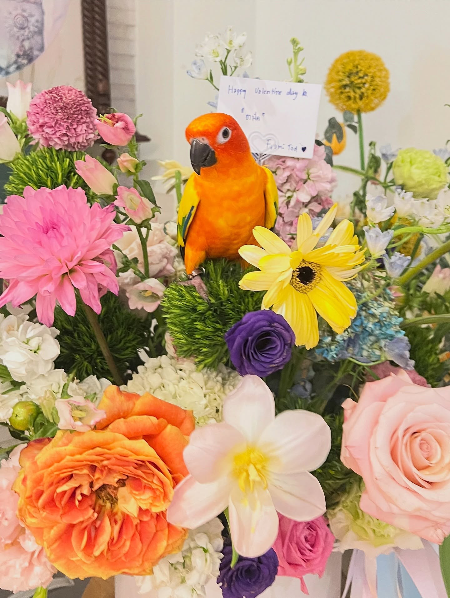 พีค - ภัทรศยา เครือสุวรรณศิริ