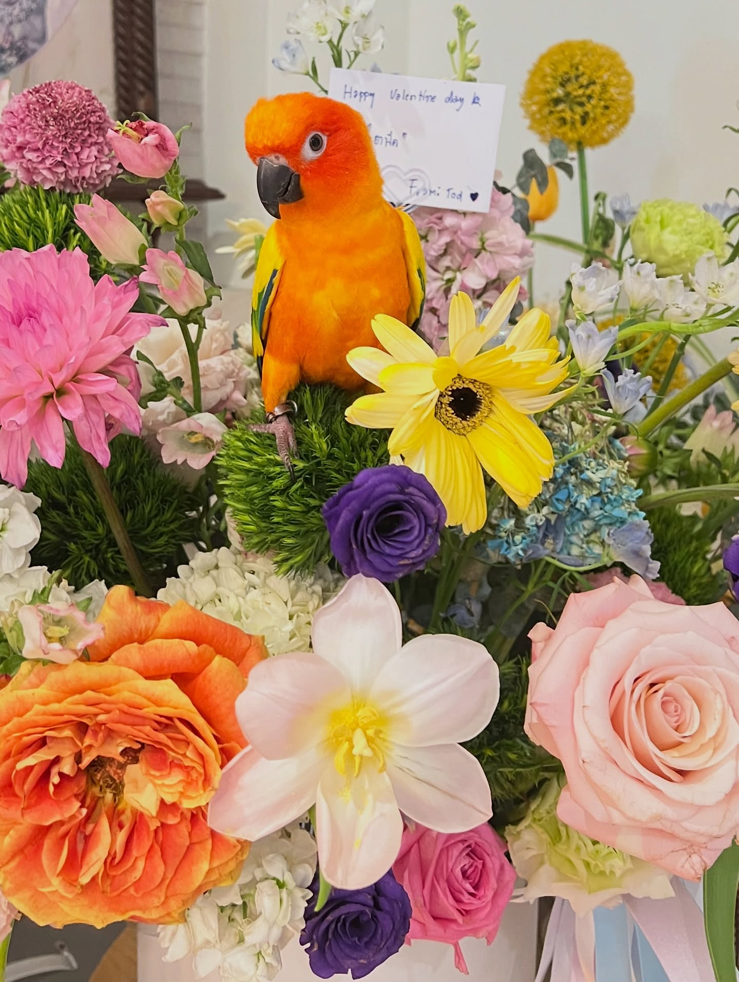 พีค - ภัทรศยา เครือสุวรรณศิริ