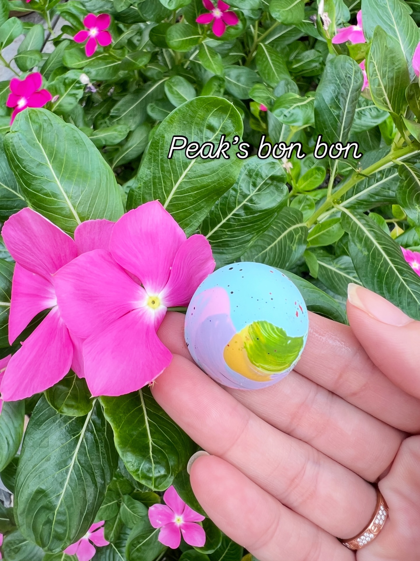 พีค - ภัทรศยา เครือสุวรรณศิริ