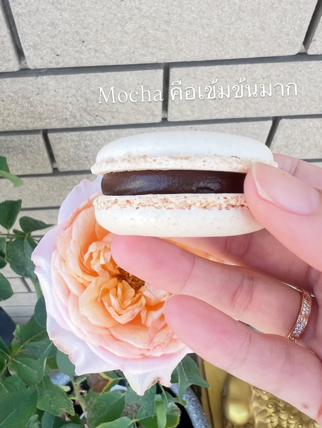 พีค - ภัทรศยา เครือสุวรรณศิริ