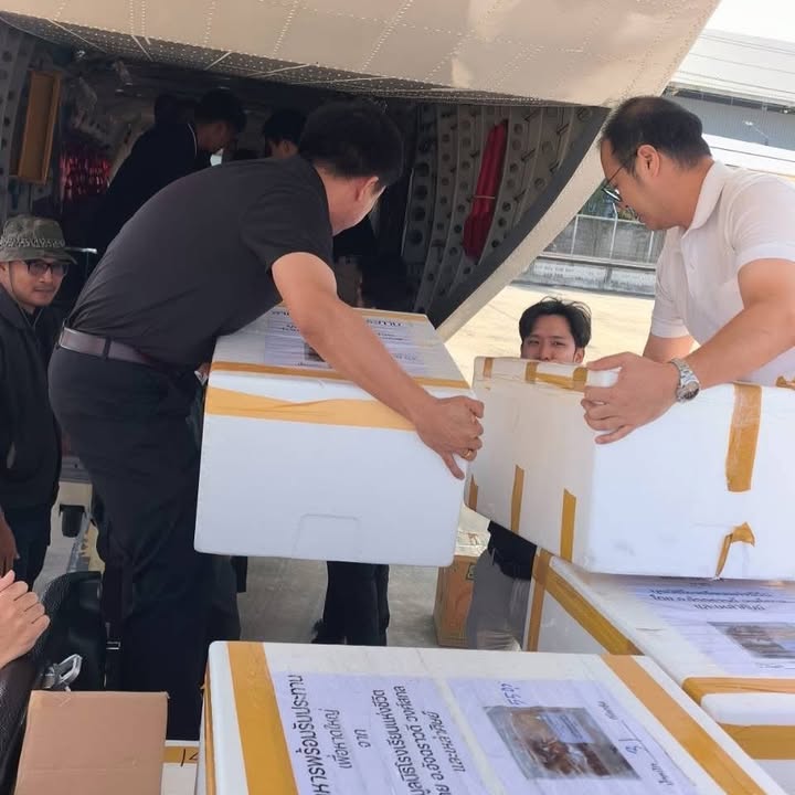 โบวี่ - อัฐมา ชีวนิชพันธ์