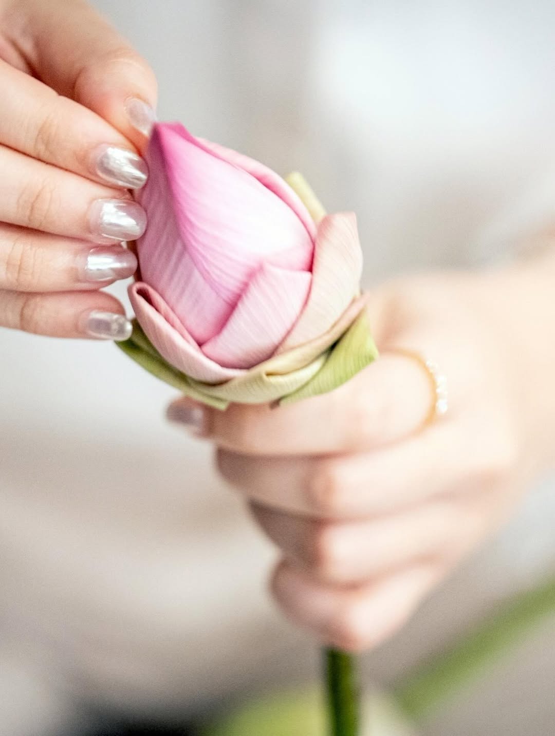 โบวี่ - อัฐมา ชีวนิชพันธ์