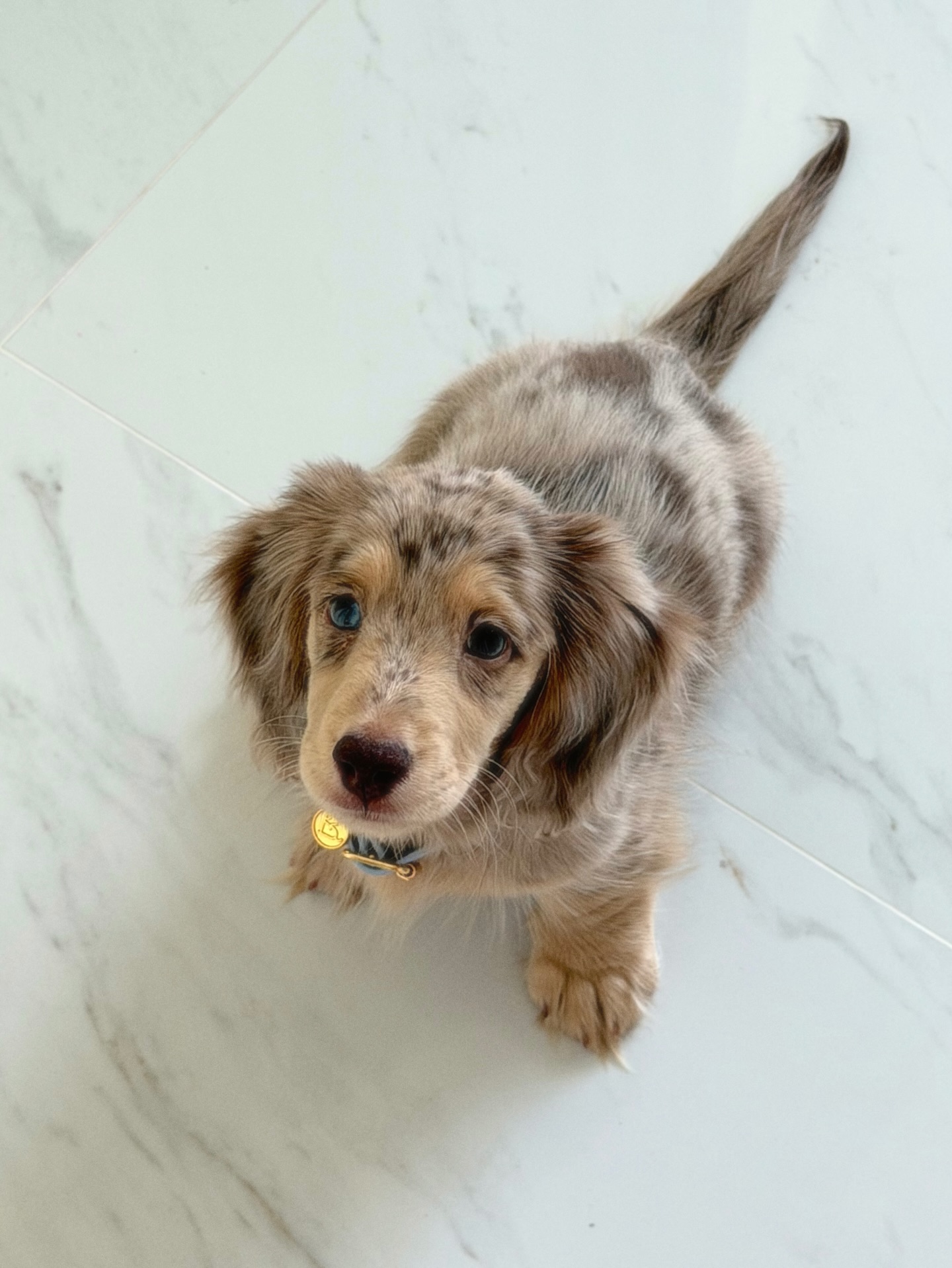 ชิน - ชินวุฒ อินทรคูสิน