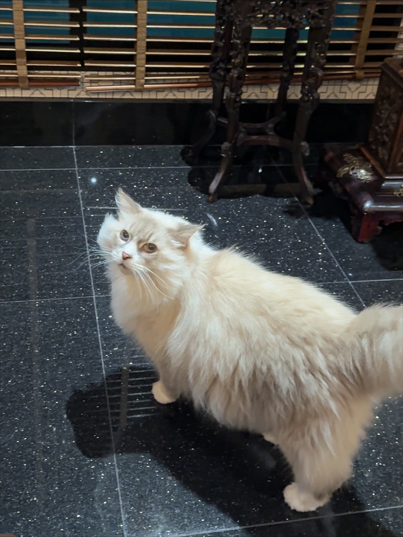 นัท - มีเรีย เบนเนเดดตี้