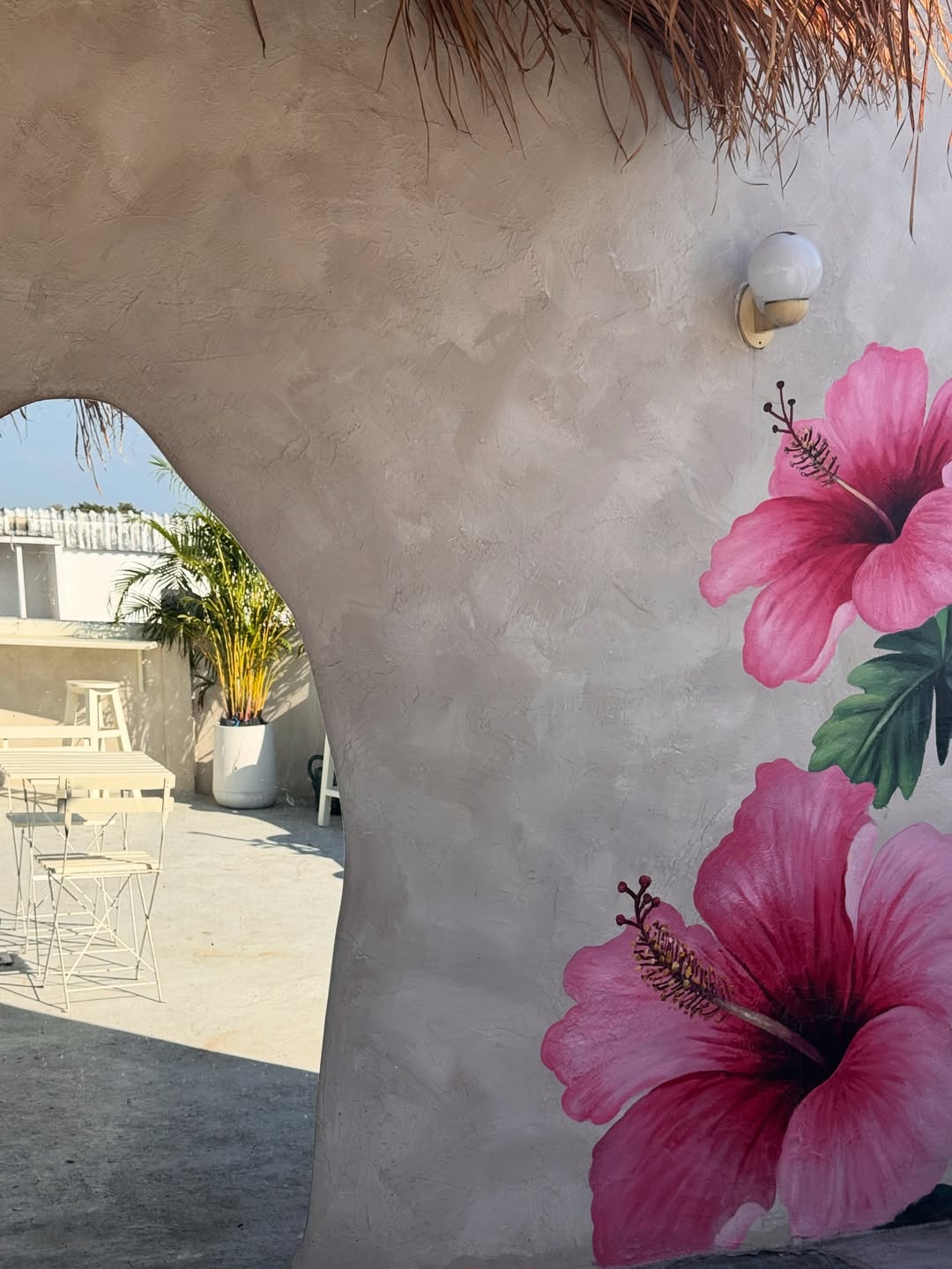 นัท - มีเรีย เบนเนเดดตี้