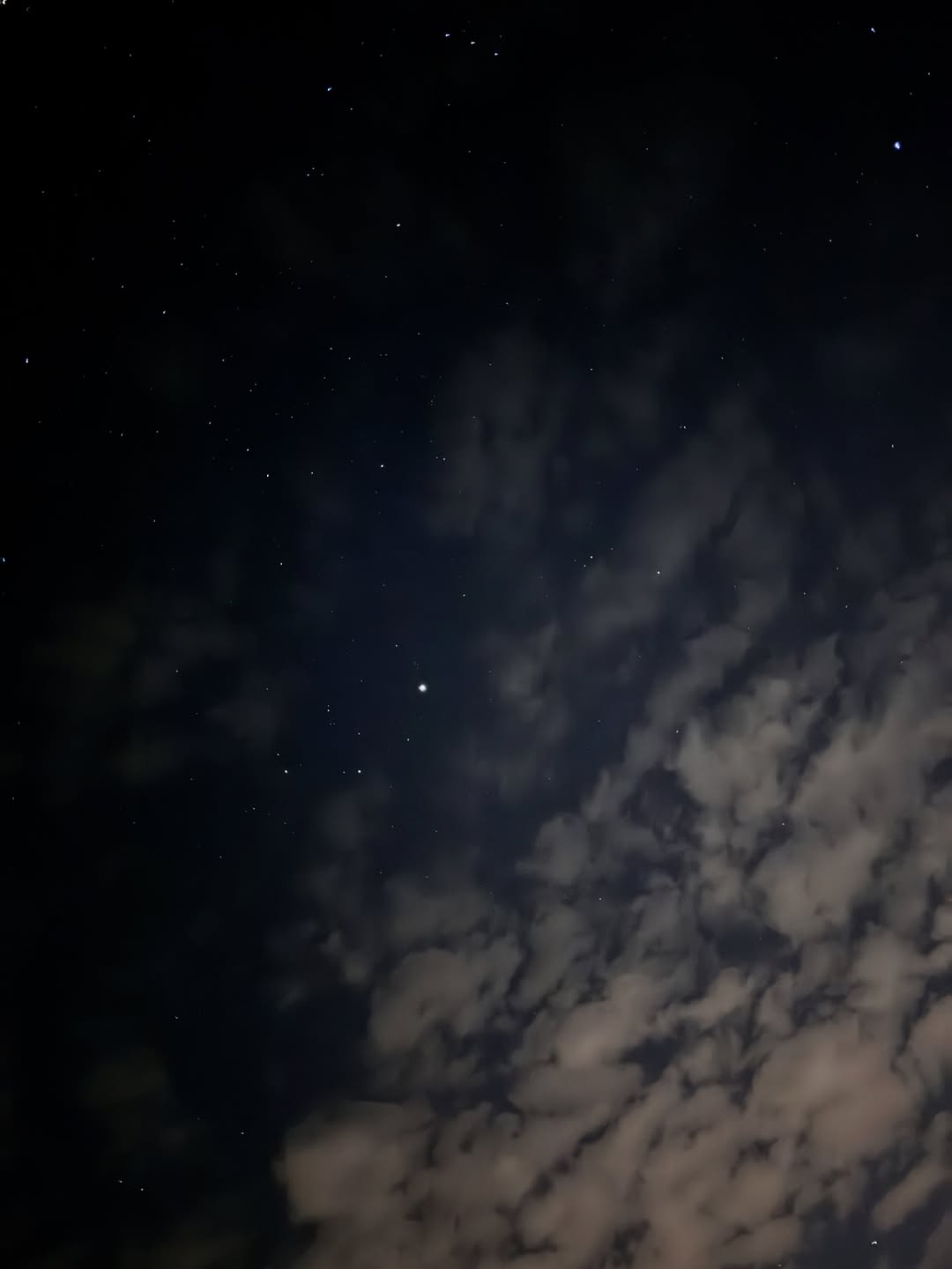 นัท - มีเรีย เบนเนเดดตี้