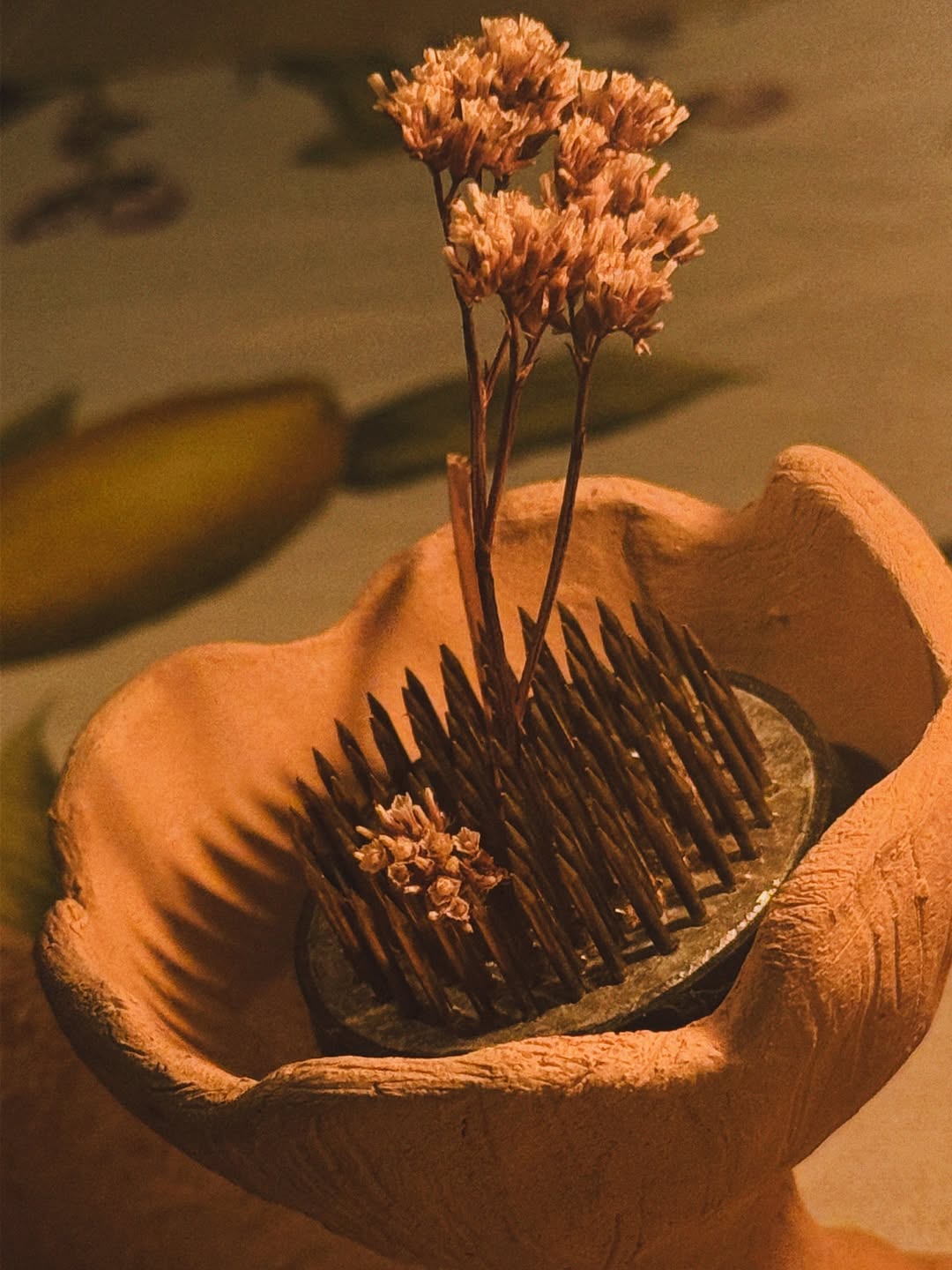 นัท - มีเรีย เบนเนเดดตี้