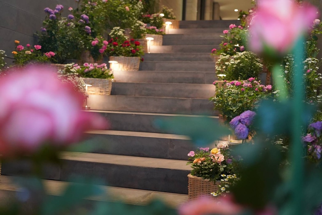 นัท - มีเรีย เบนเนเดดตี้