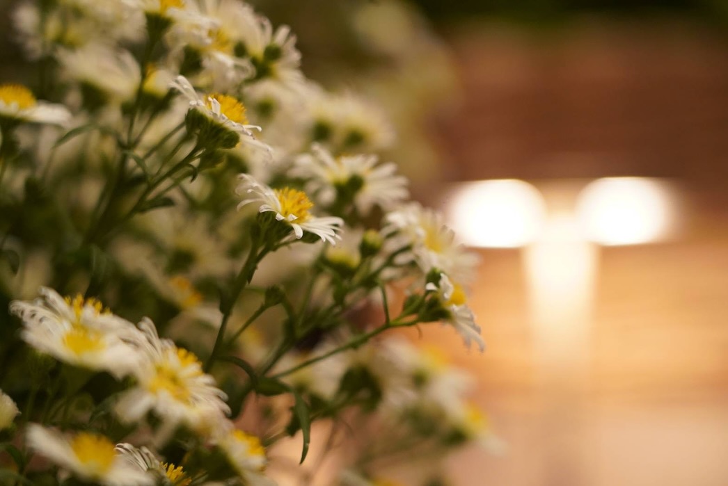 นัท - มีเรีย เบนเนเดดตี้