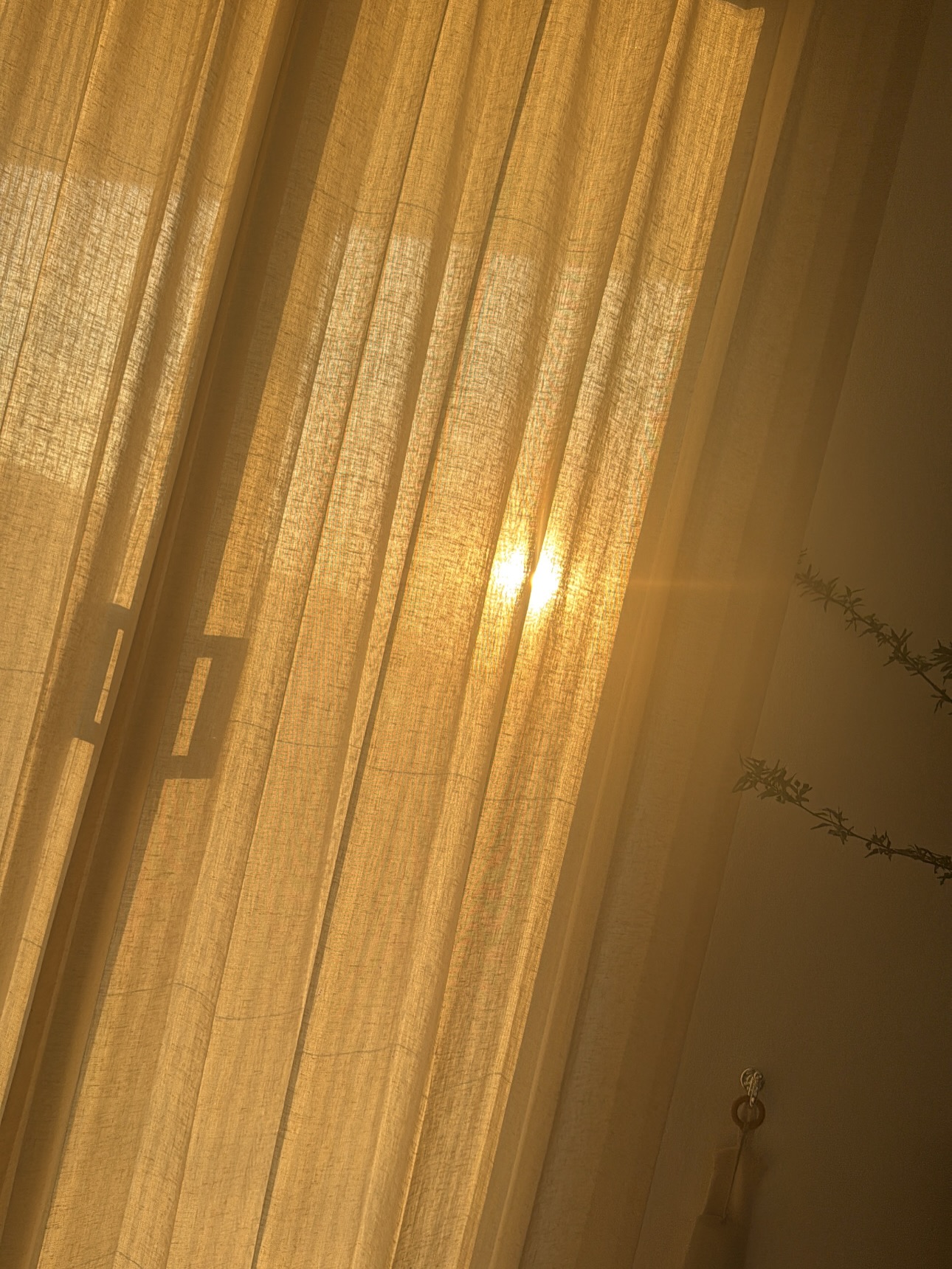 นัท - มีเรีย เบนเนเดดตี้