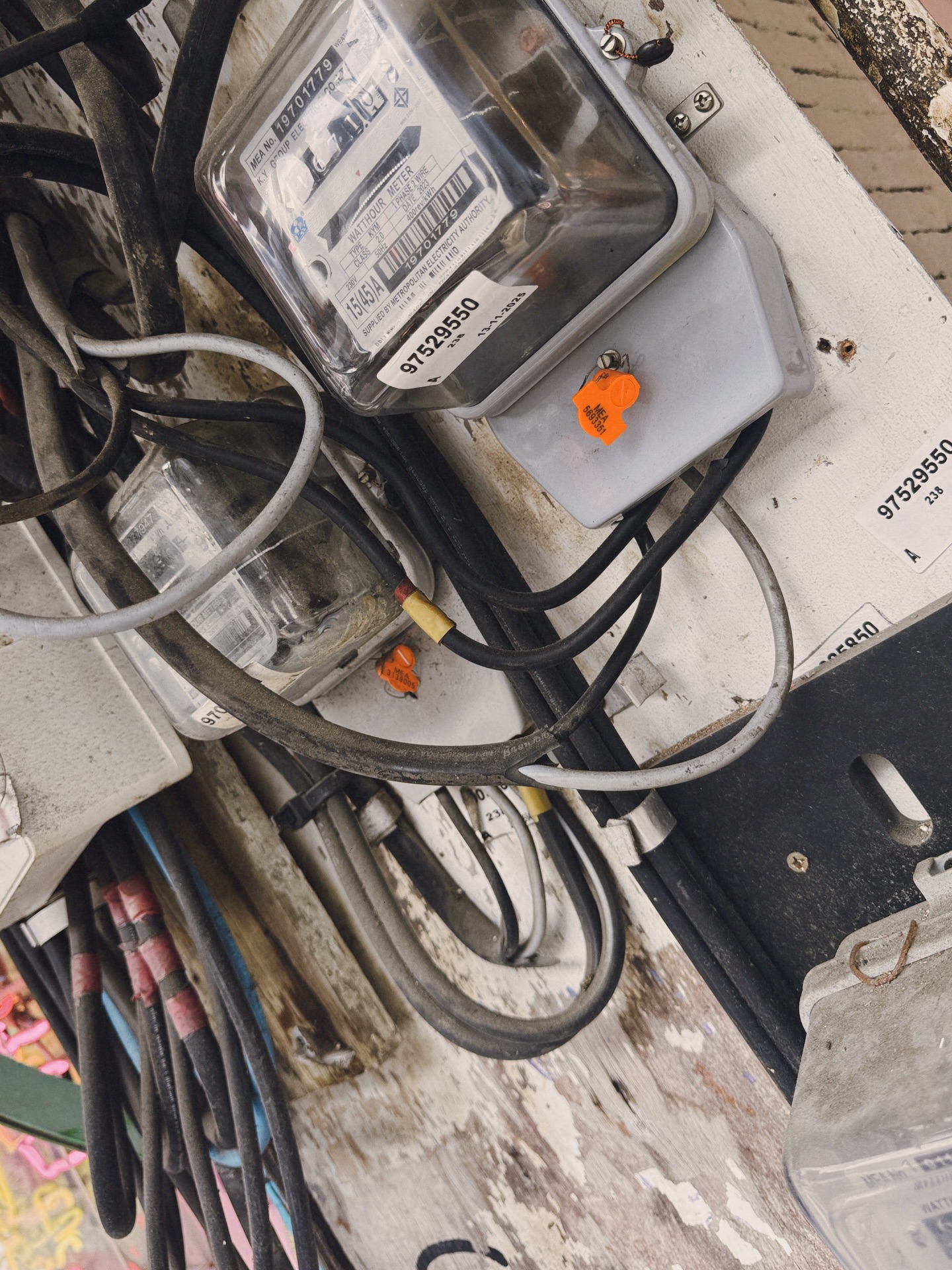 นัท - มีเรีย เบนเนเดดตี้