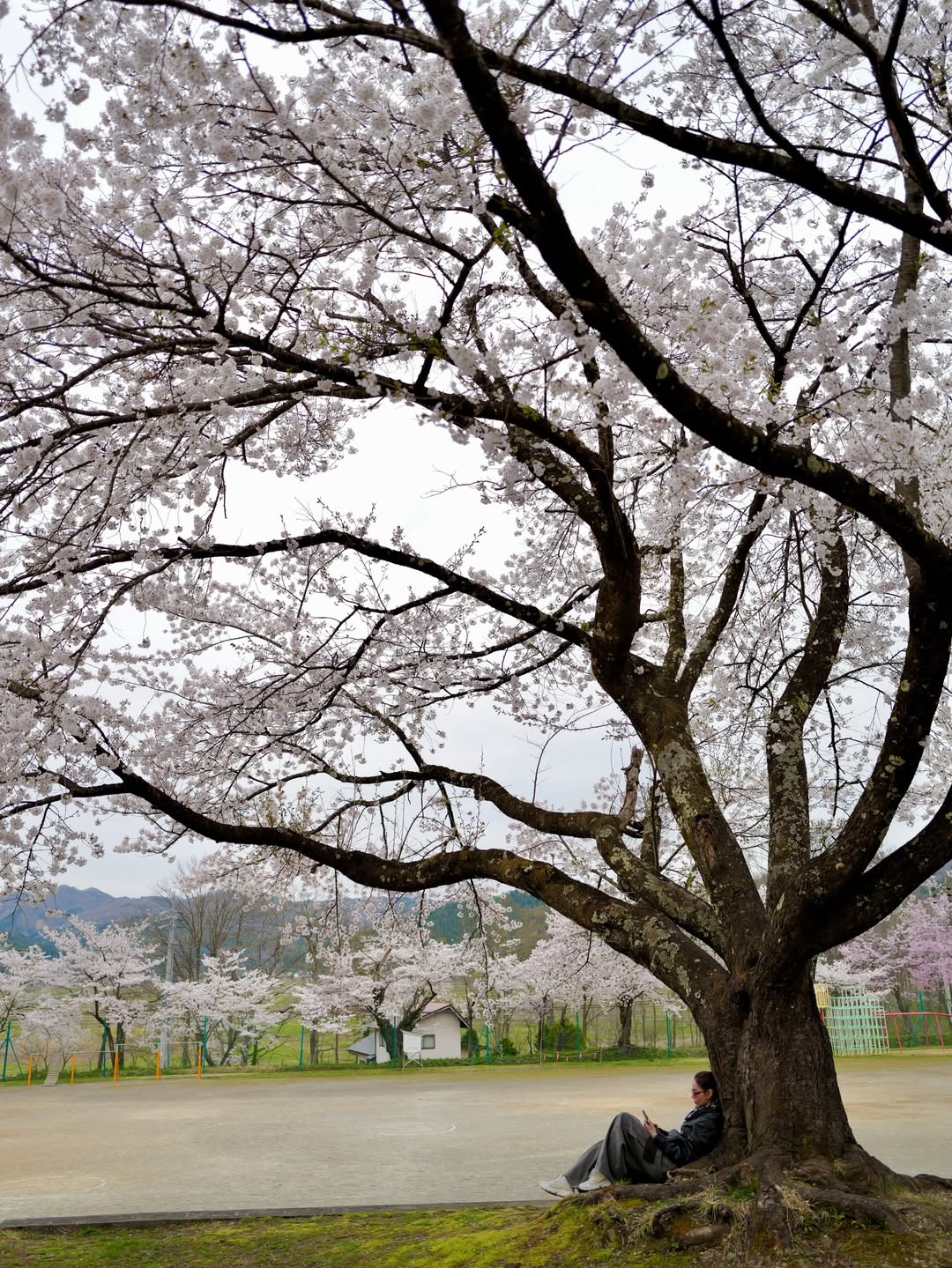 นัท - มีเรีย เบนเนเดดตี้