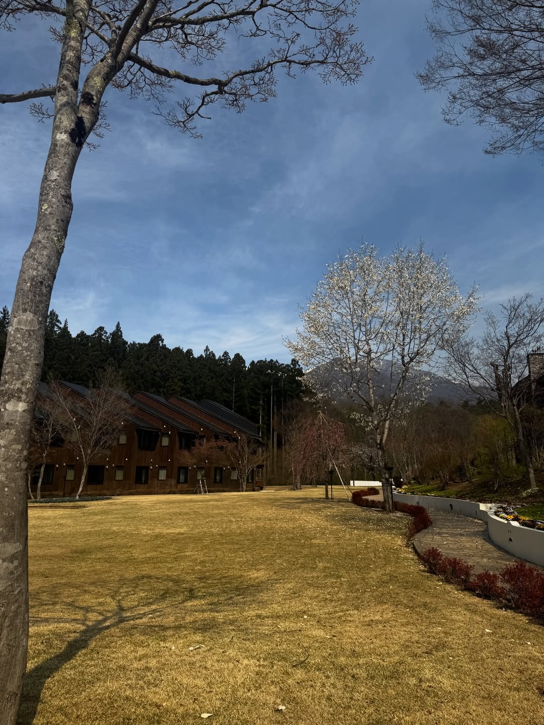 นัท - มีเรีย เบนเนเดดตี้