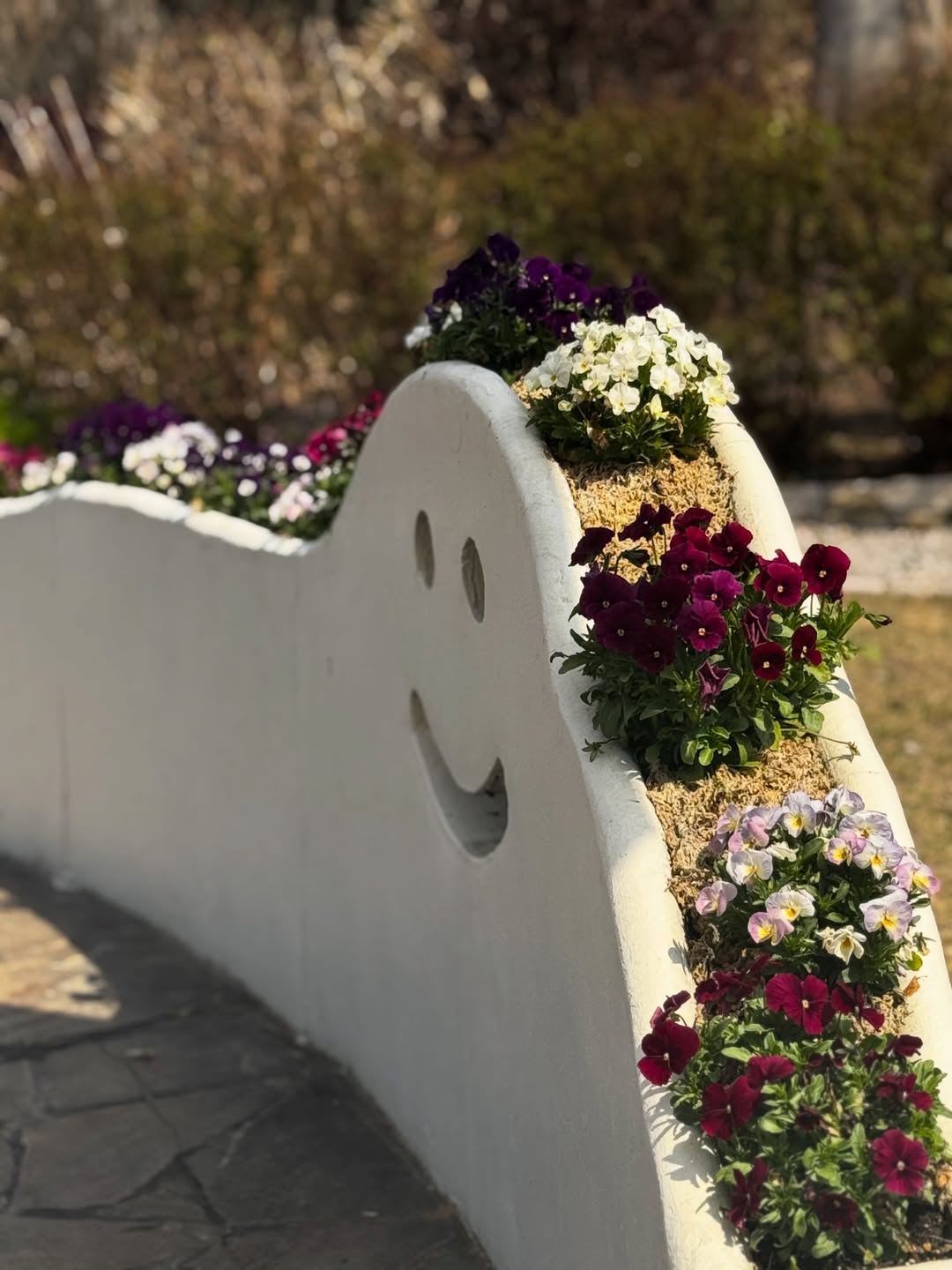 นัท - มีเรีย เบนเนเดดตี้